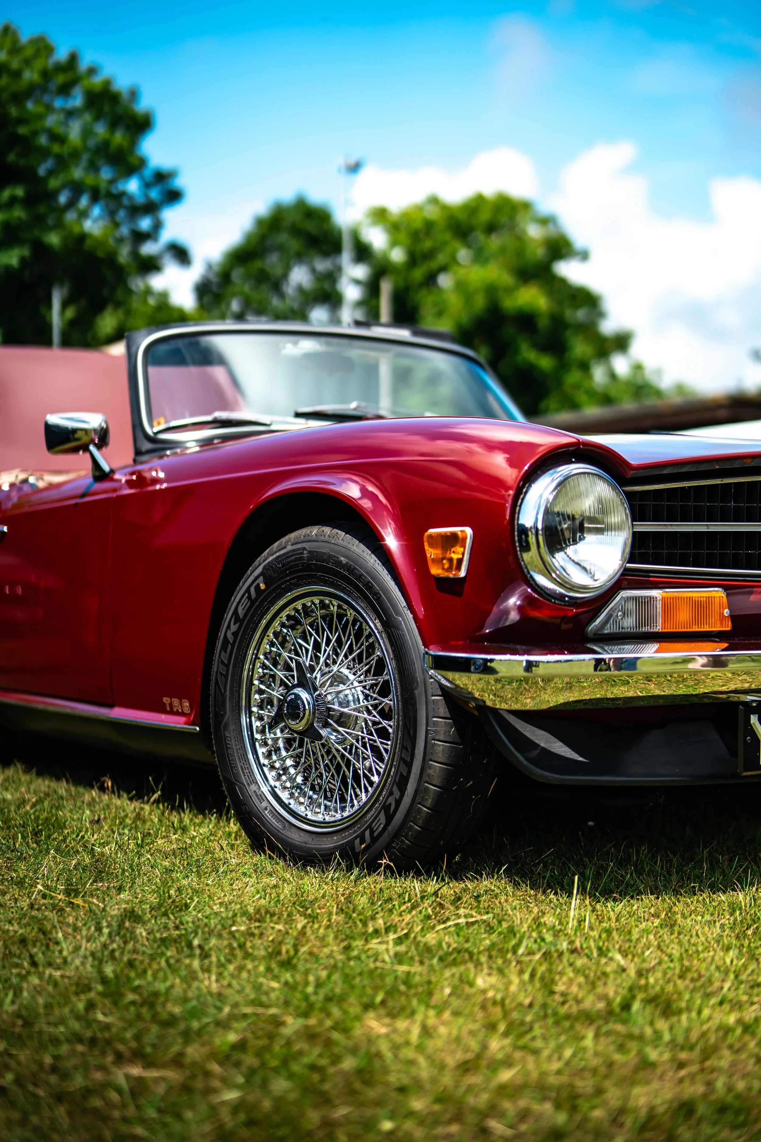 Cars_with_owners_in_Hampshire_by_MBphotography_ (119).jpg
