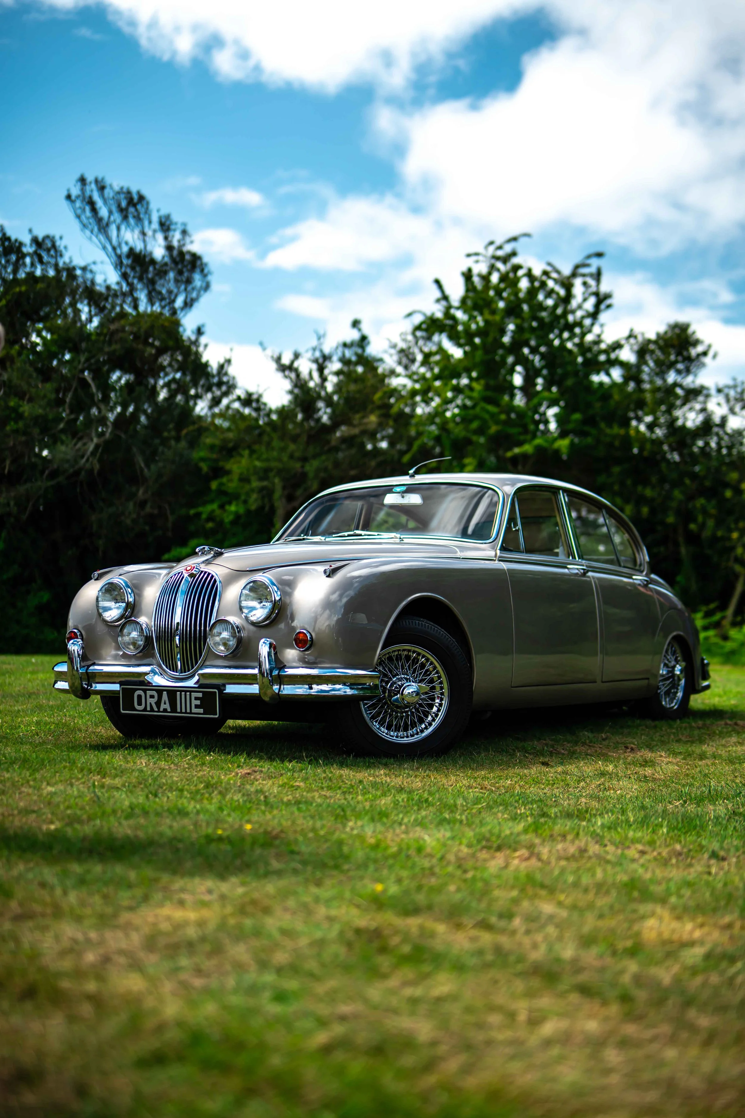 Cars_with_owners_in_Hampshire_by_MBphotography_ (123).jpg