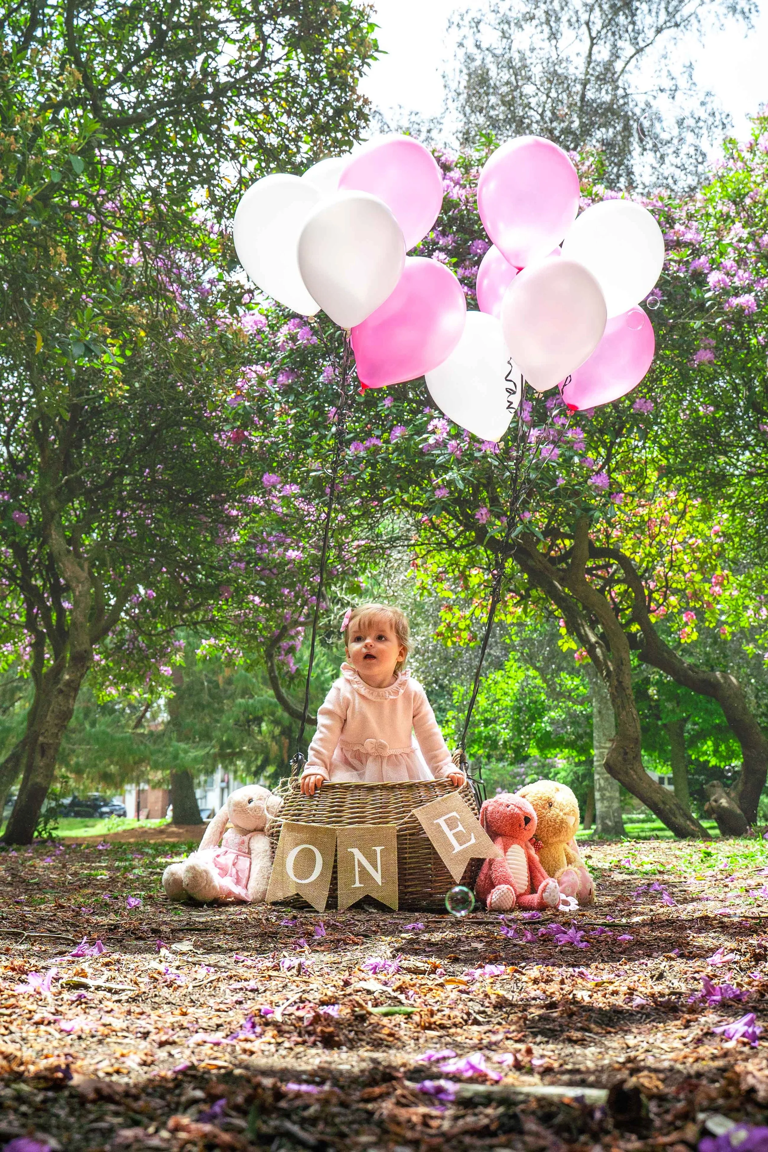 first birthday photoshot with teddy bears and baloons