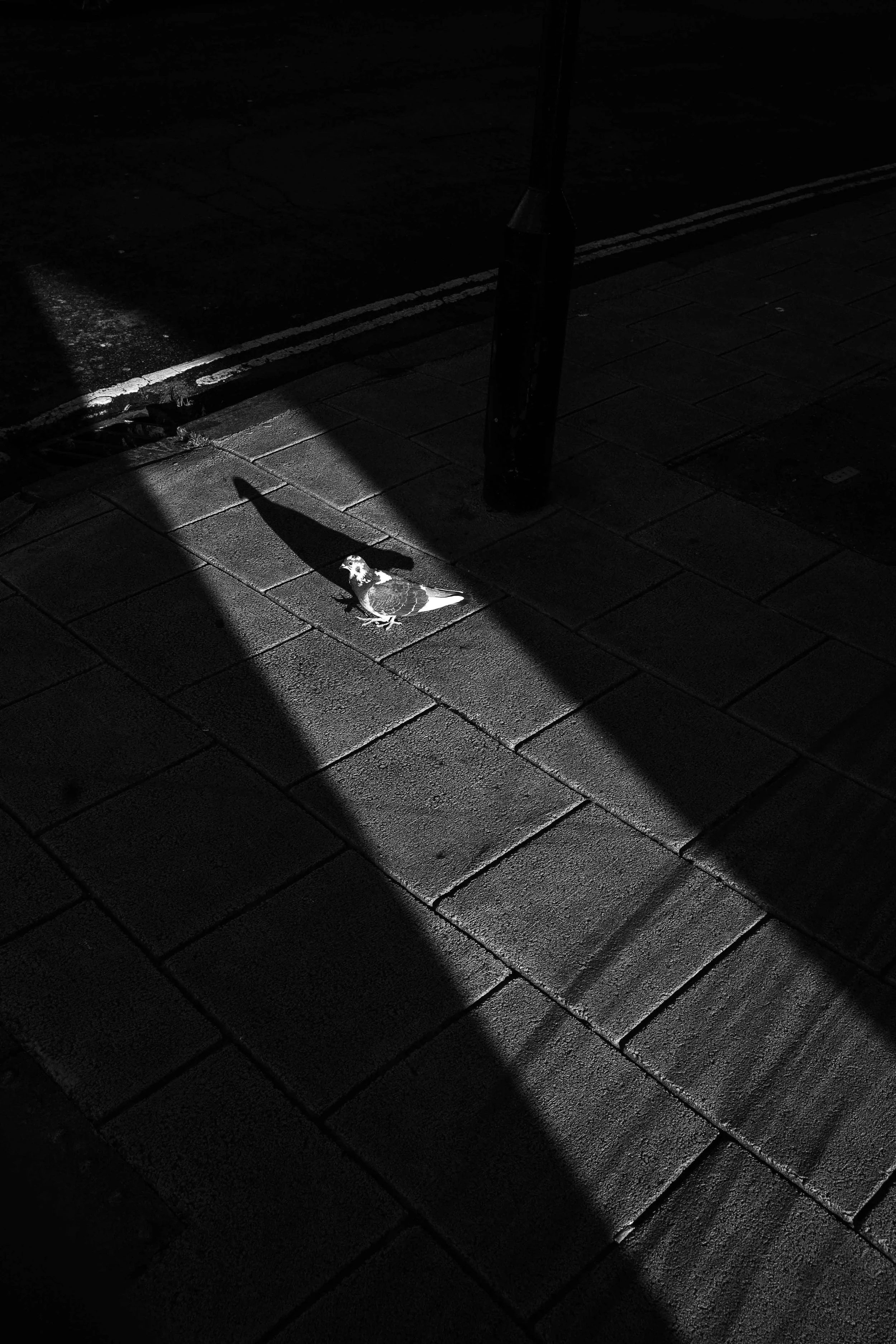 Street_photography_UK_by_MBphotography_ (121).jpg