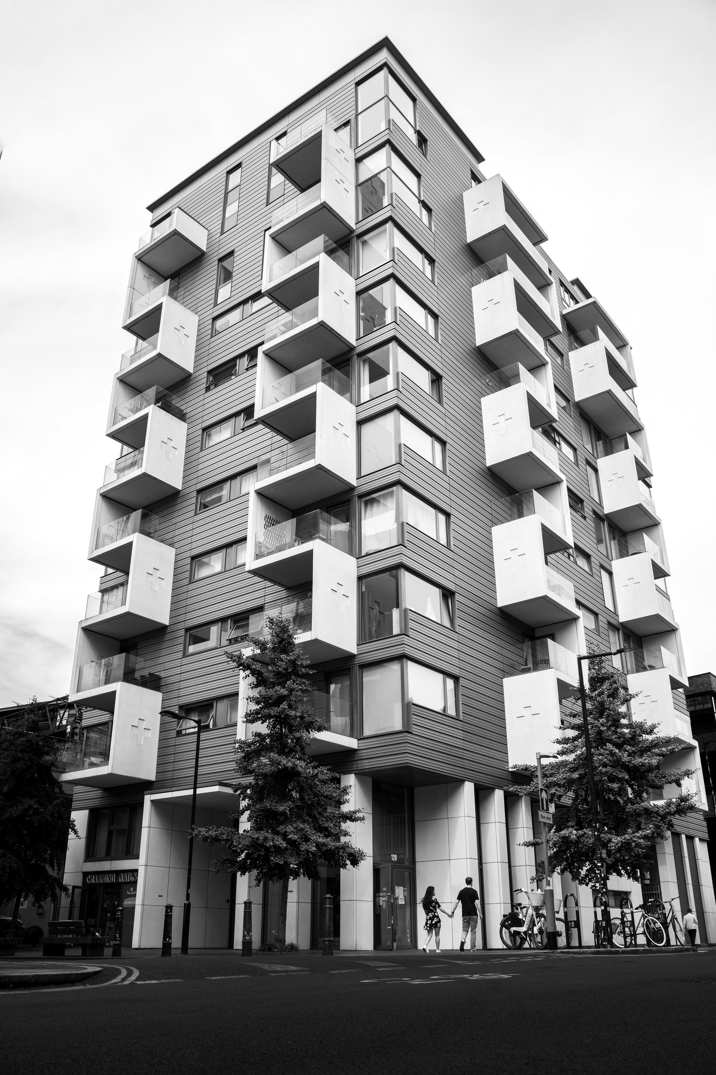 DSE07814.jpg