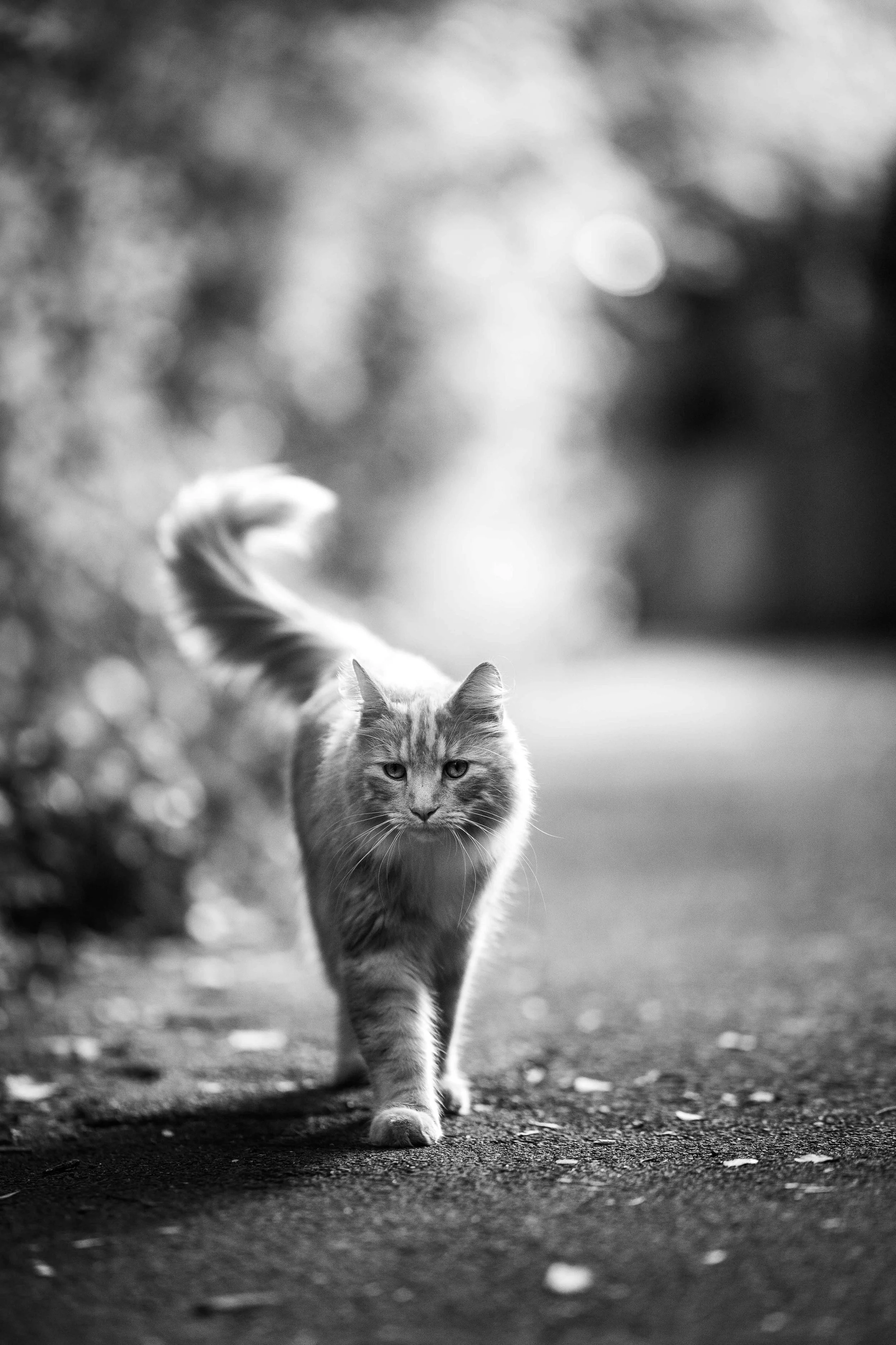 Street_photography_UK_by_MBphotography_ (105).jpg