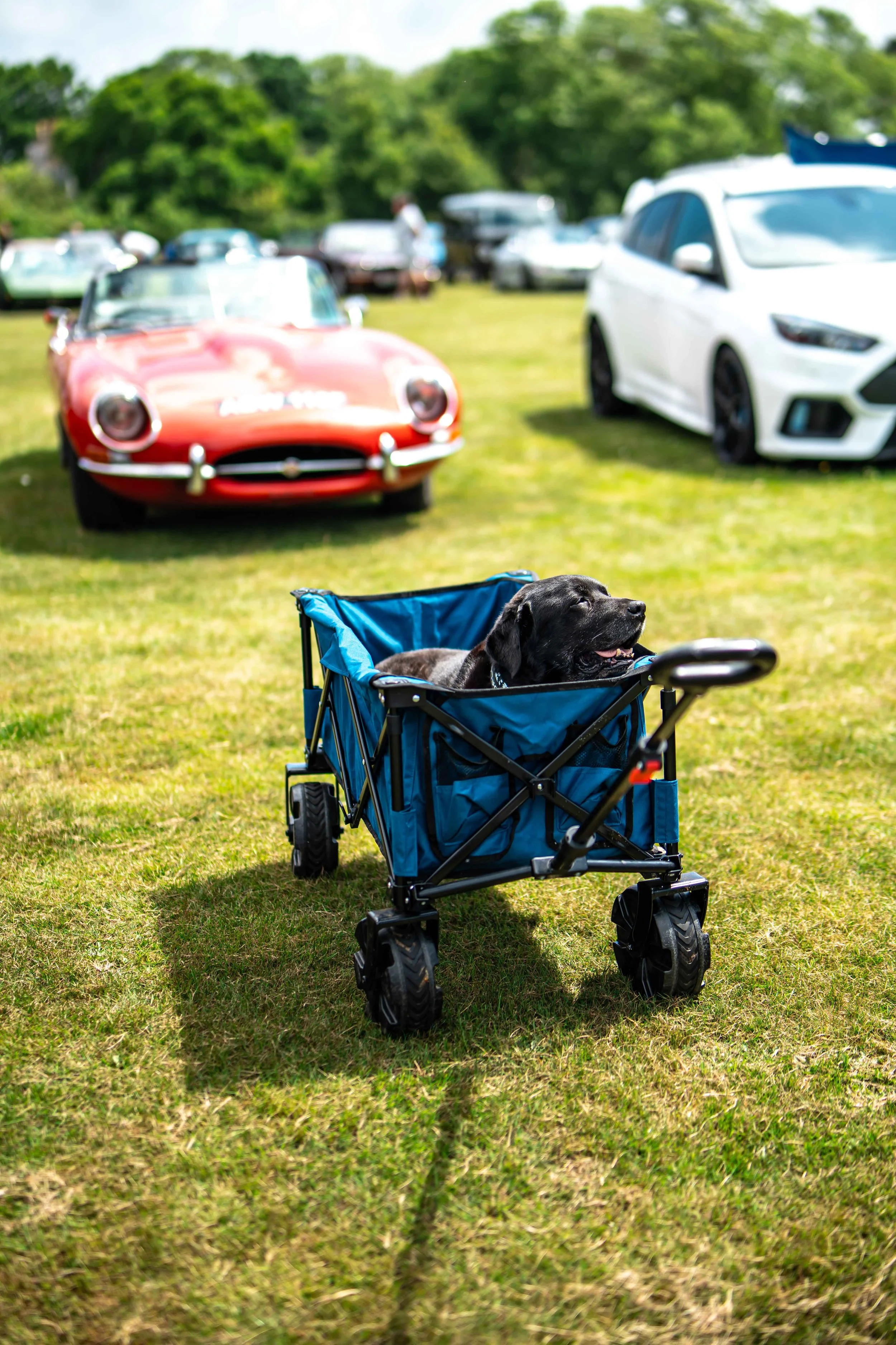 Cars_with_owners_in_Hampshire_by_MBphotography_ (147).jpg