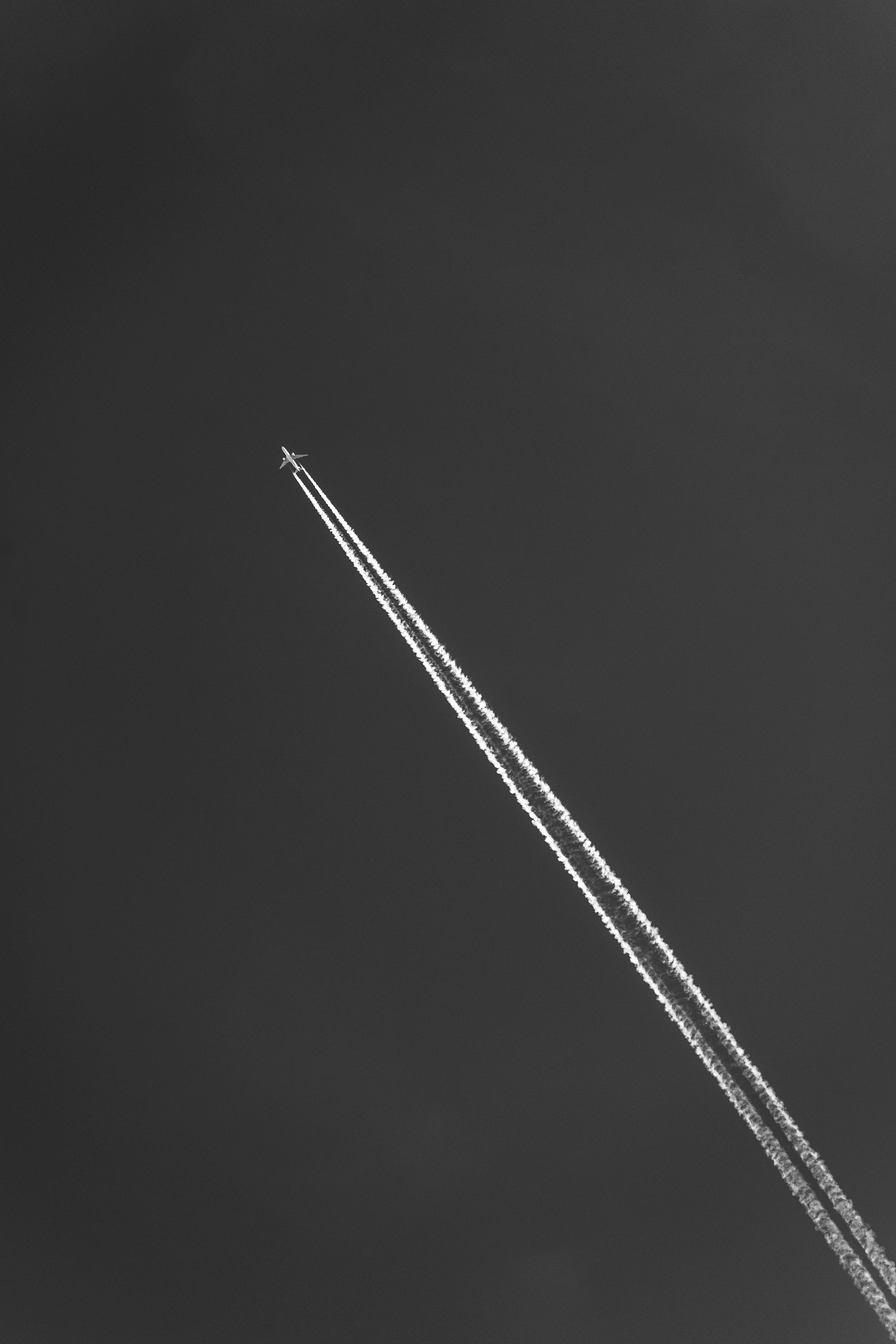 532 A4C05674.jpg