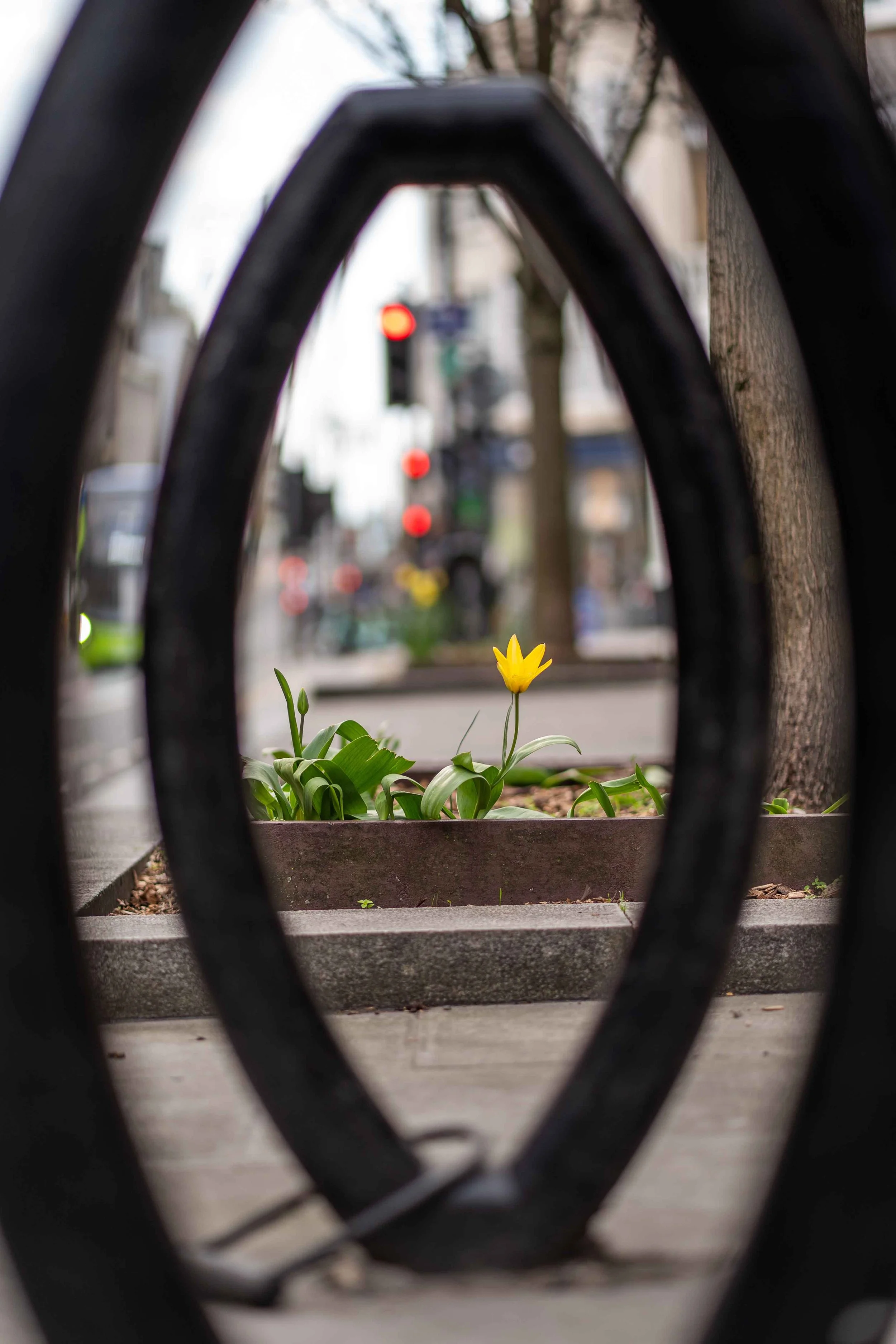 Street_photography_UK_by_MBphotography_ (164).jpg