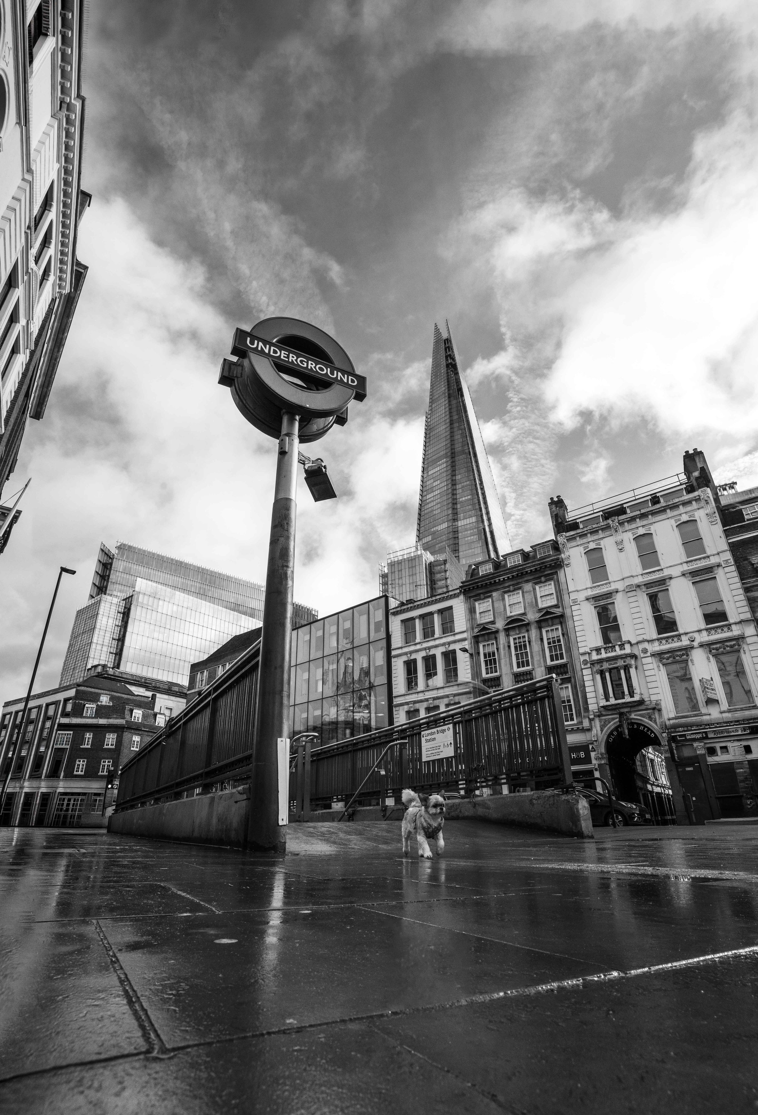 Street_photography_UK_by_MBphotography_ (152).jpg