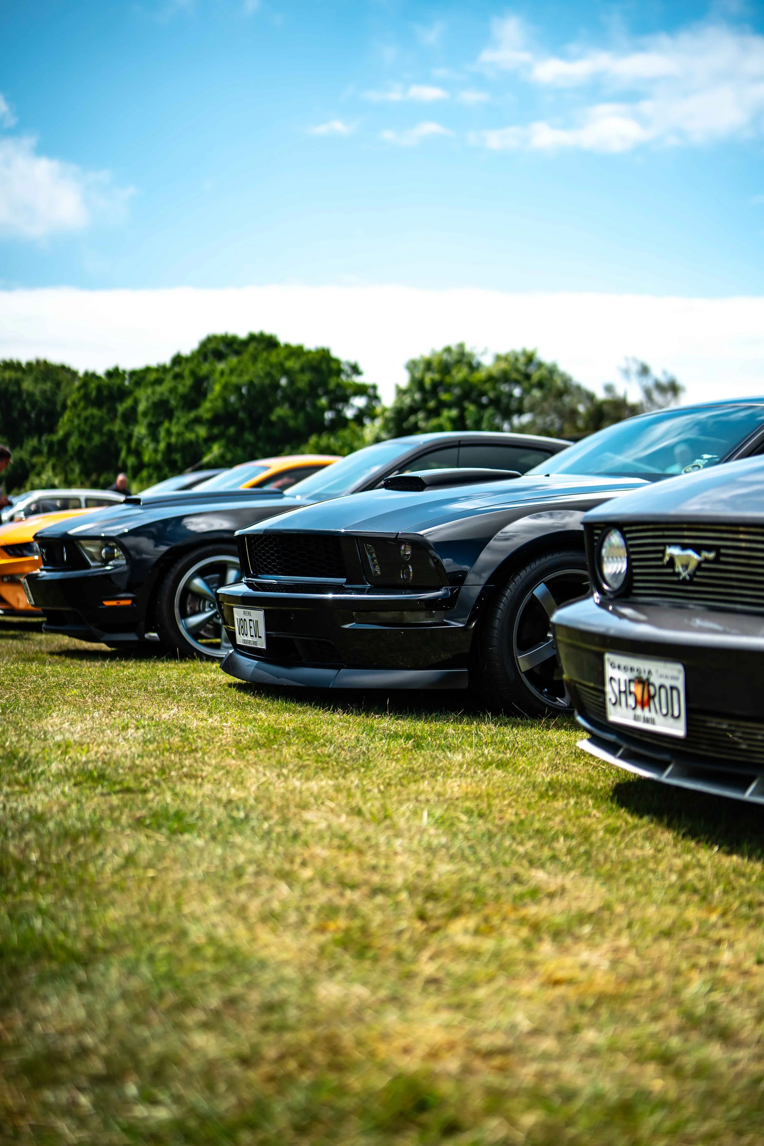 Cars_with_owners_in_Hampshire_by_MBphotography_ (113).jpg