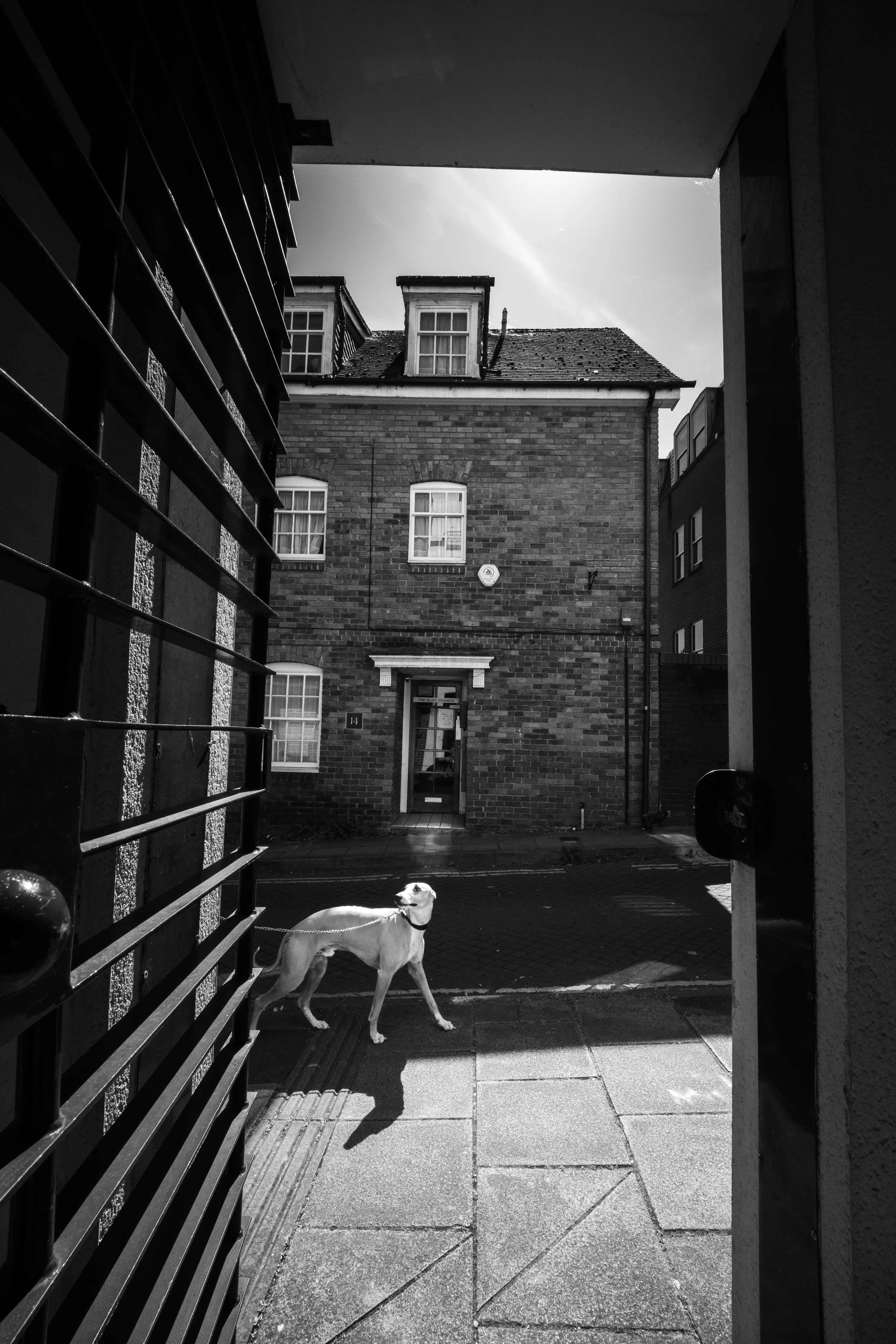 Street_photography_UK_by_MBphotography_ (179).jpg