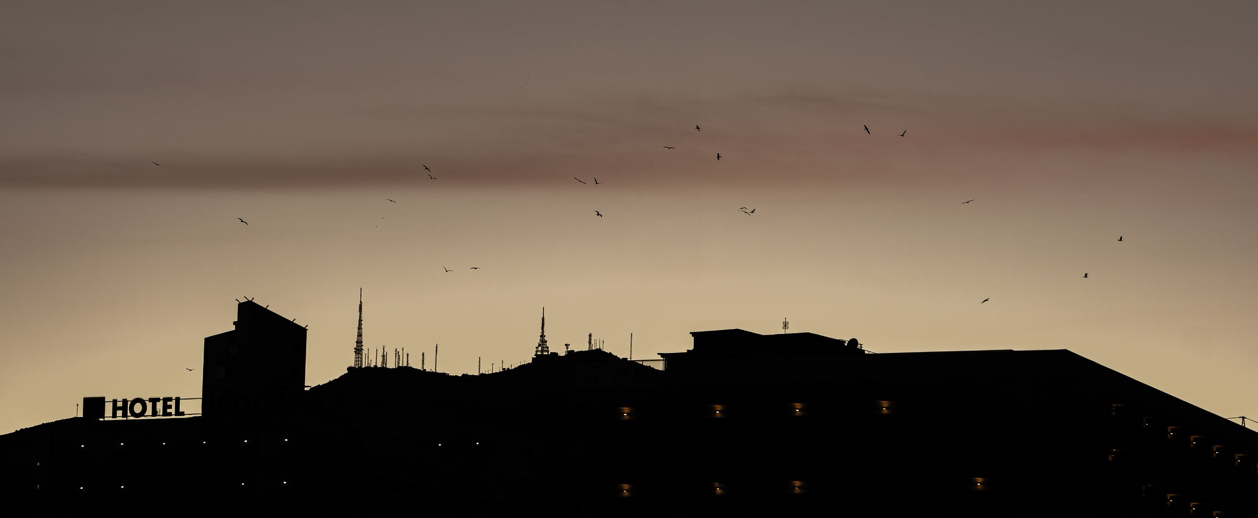DSE00242-Enhanced-NR-Edit.jpg