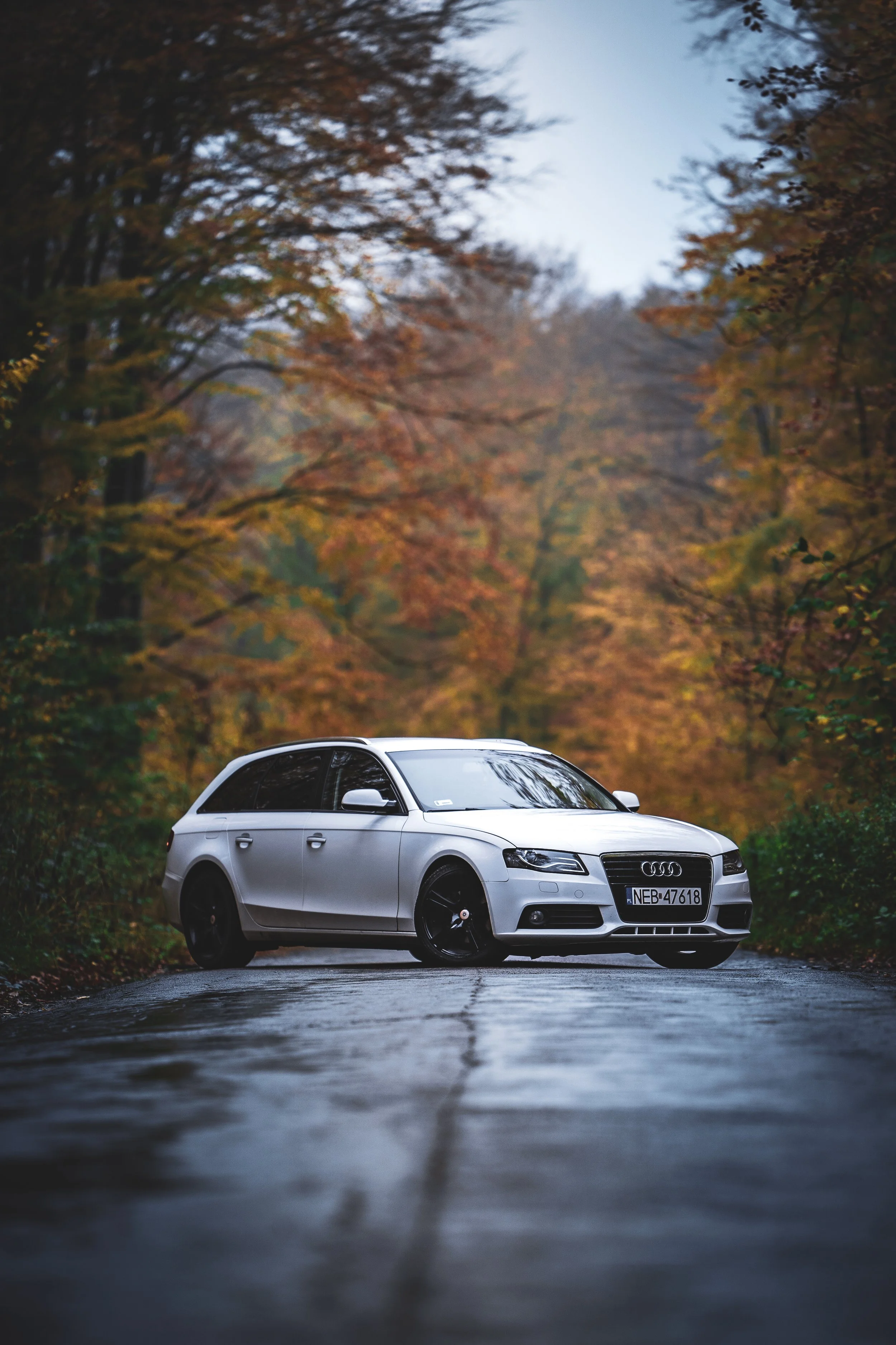 Car.20221022_004.jpg