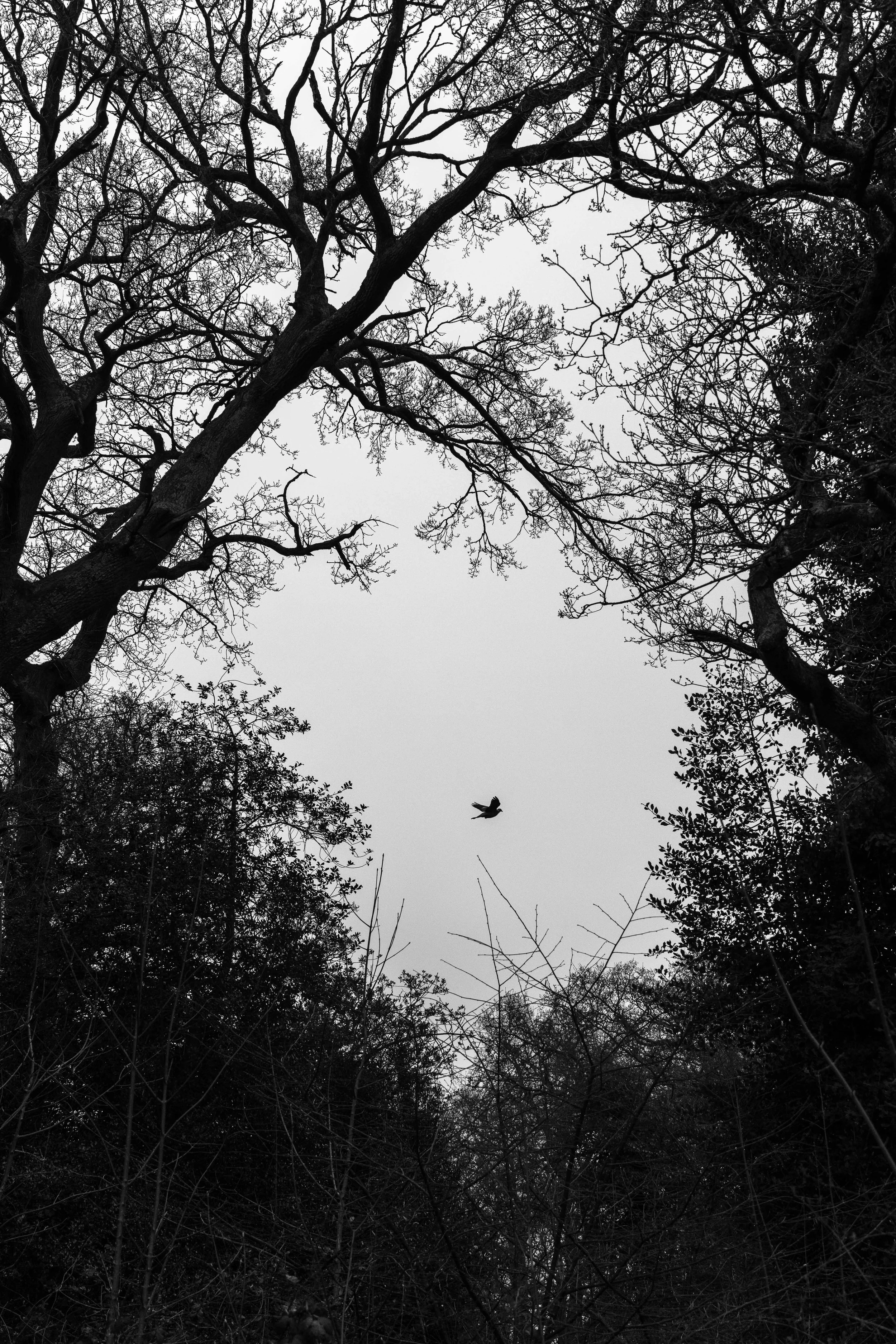 Street_photography_UK_by_MBphotography_ (44).jpg