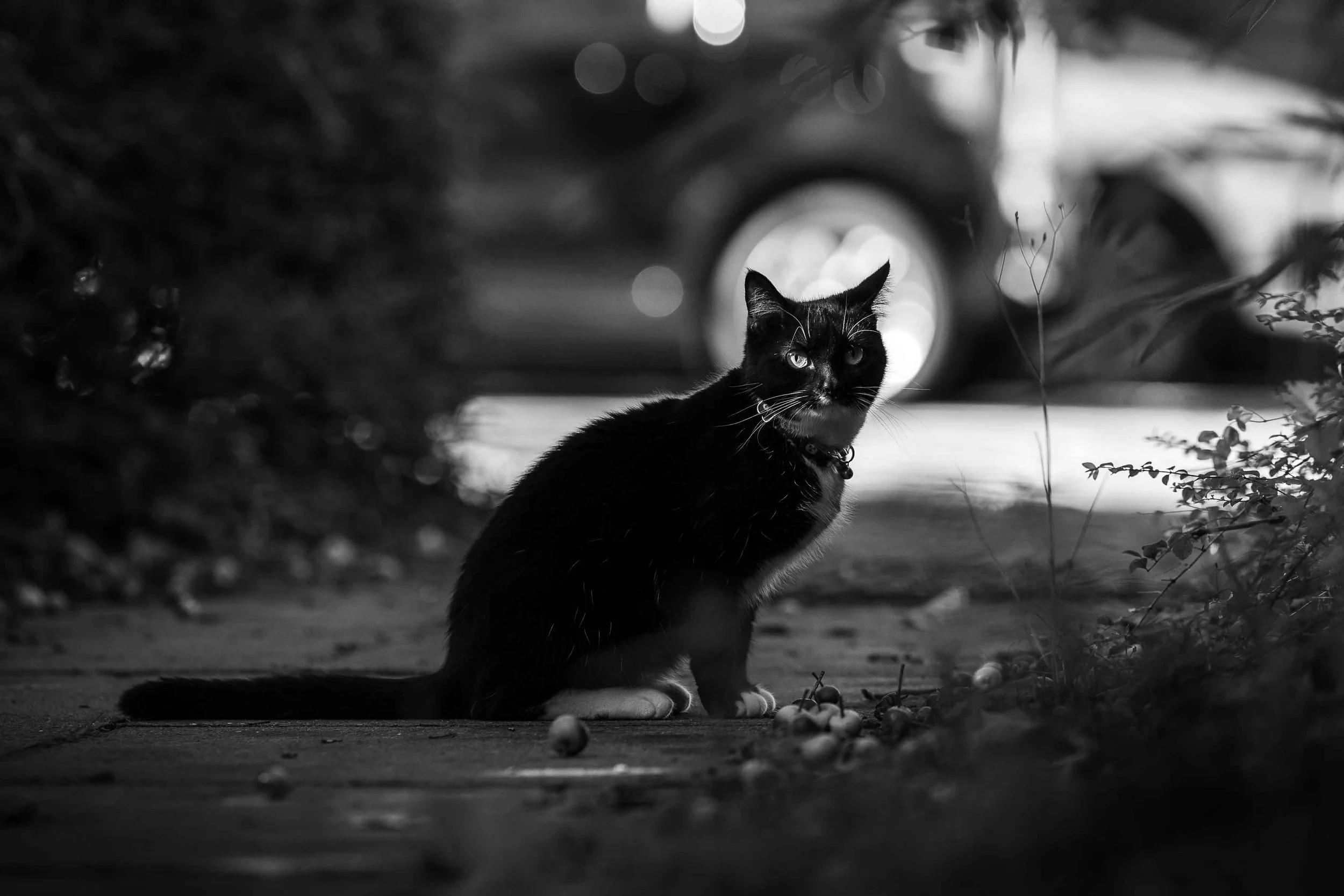 Street_photography_UK_by_MBphotography_ (99).jpg