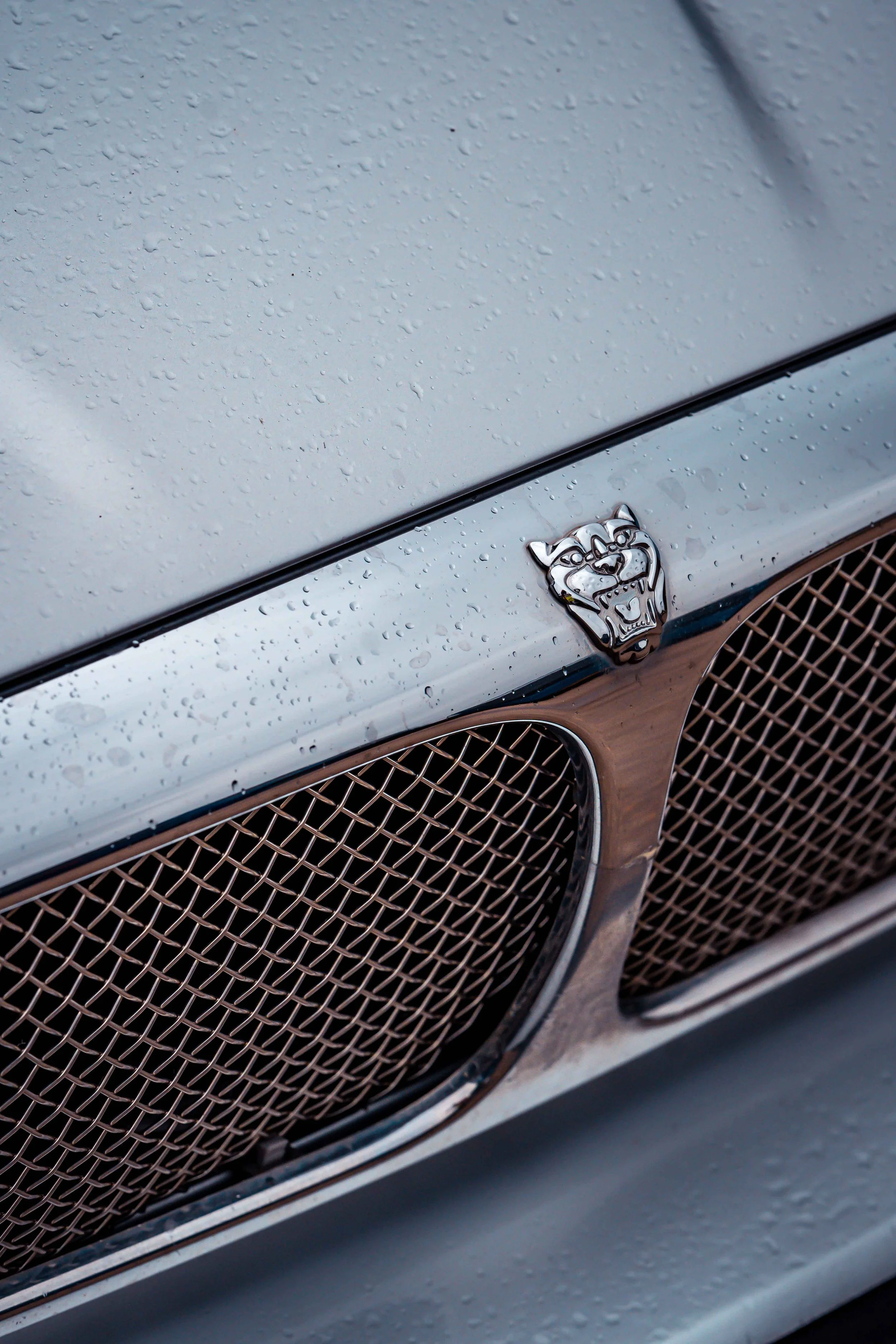Cars_with_owners_in_Hampshire_by_MBphotography_ (102).jpg