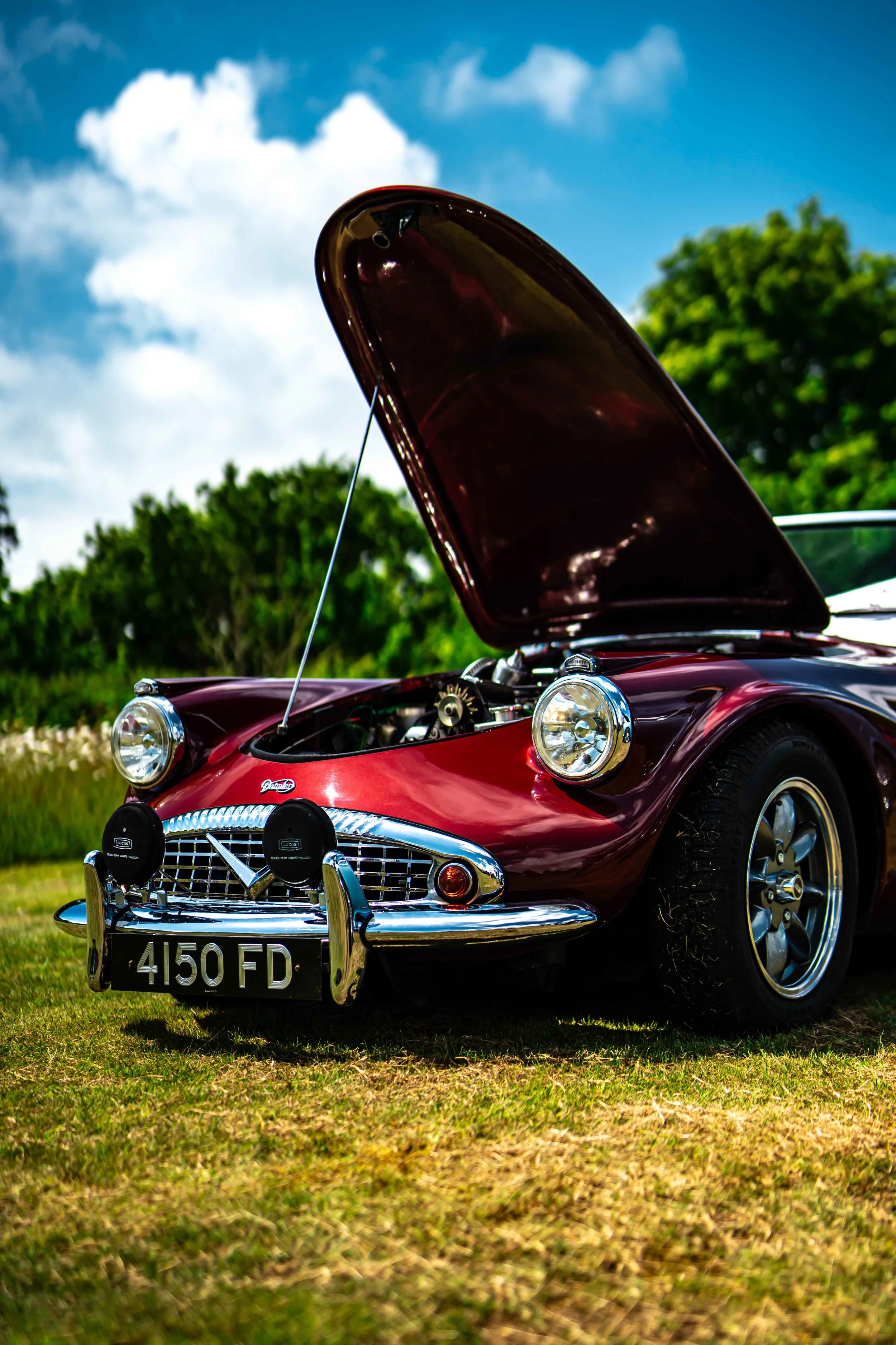 Cars_with_owners_in_Hampshire_by_MBphotography_ (131).jpg
