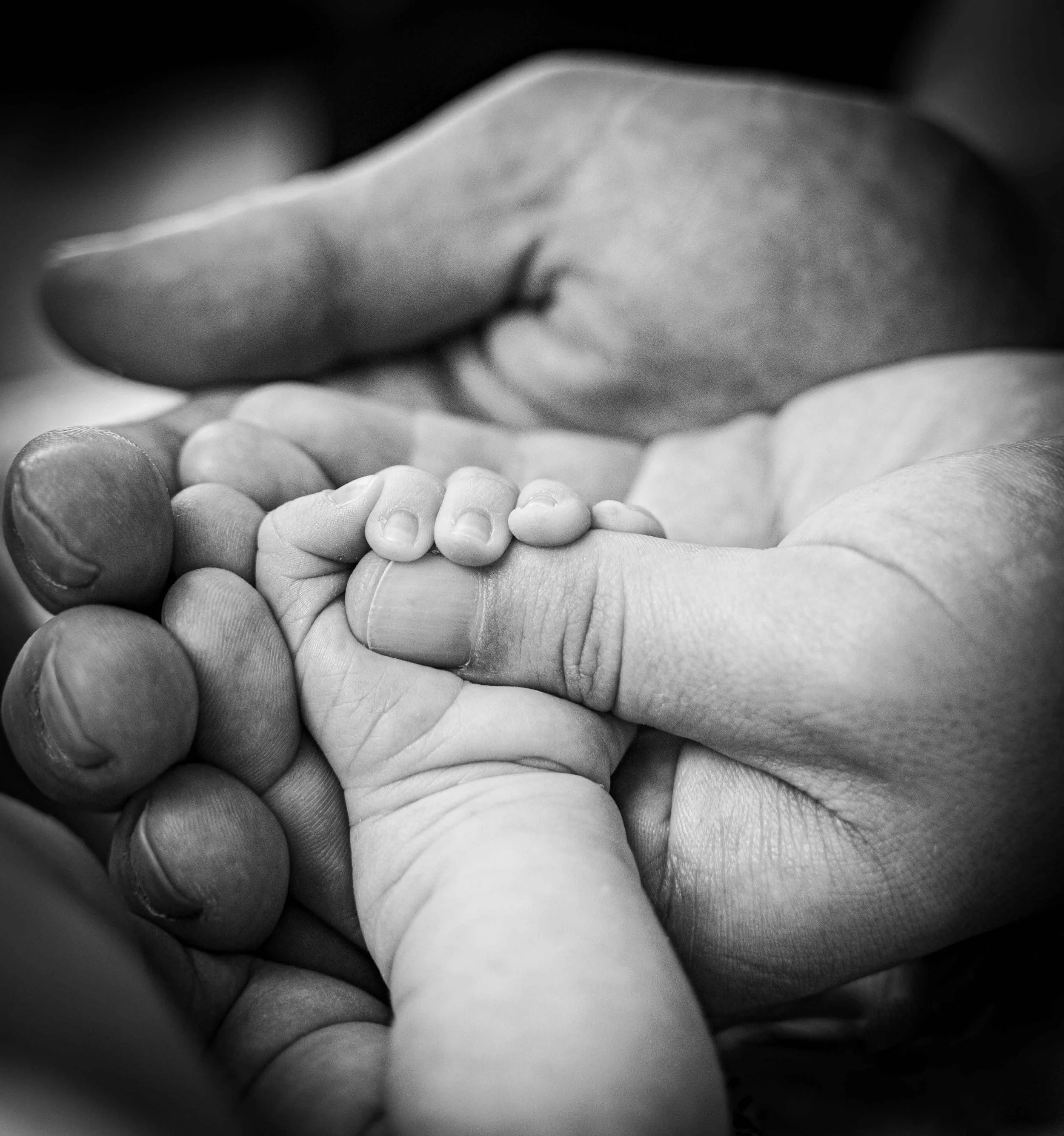 parents holding baby's hand