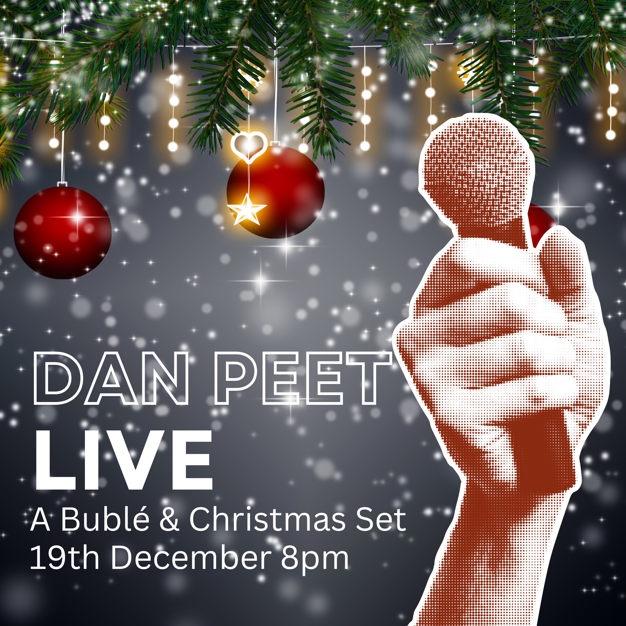 Singer - Dan Peet Live