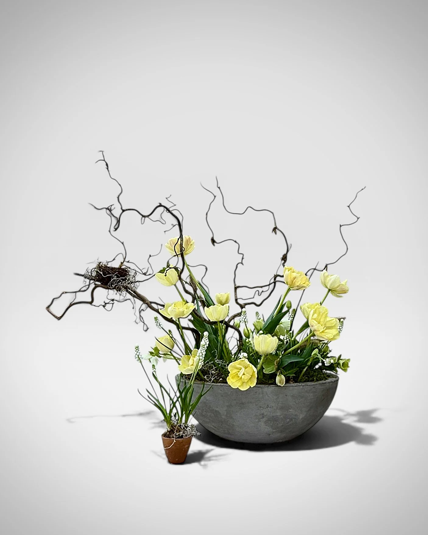 100AcreExport copy.jpg