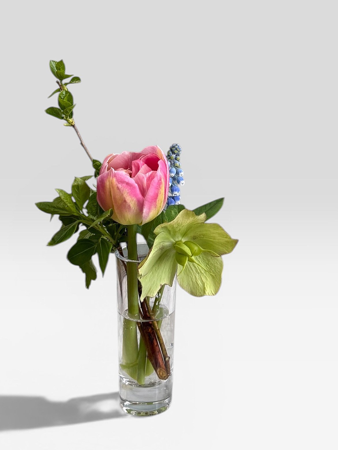 Flower Study No. 2 Shop.jpg