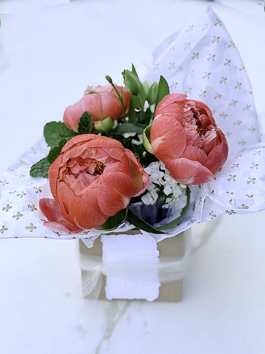 PeonyjulepwC.jpg