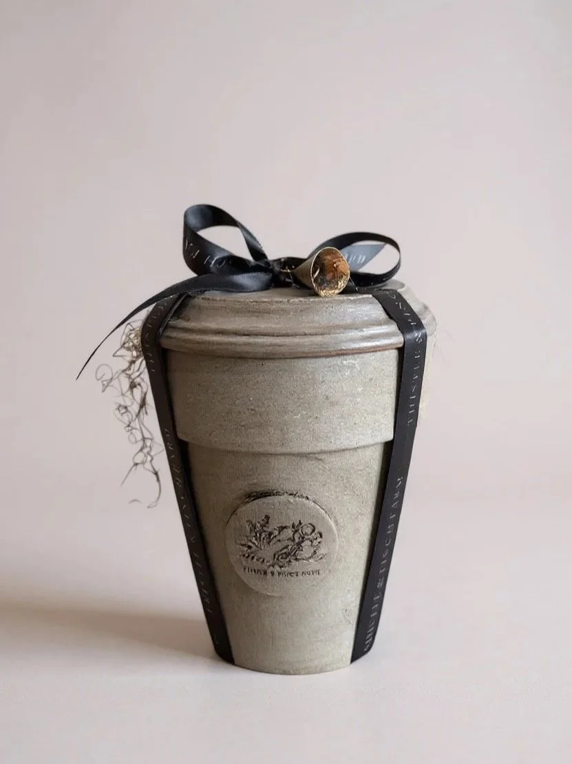 Elite Amaryllis  Complete Forcing Kit