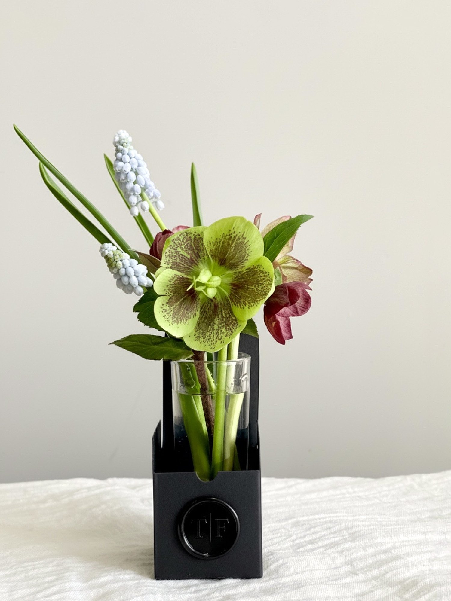 Hellebore Muscari Boxed.jpg