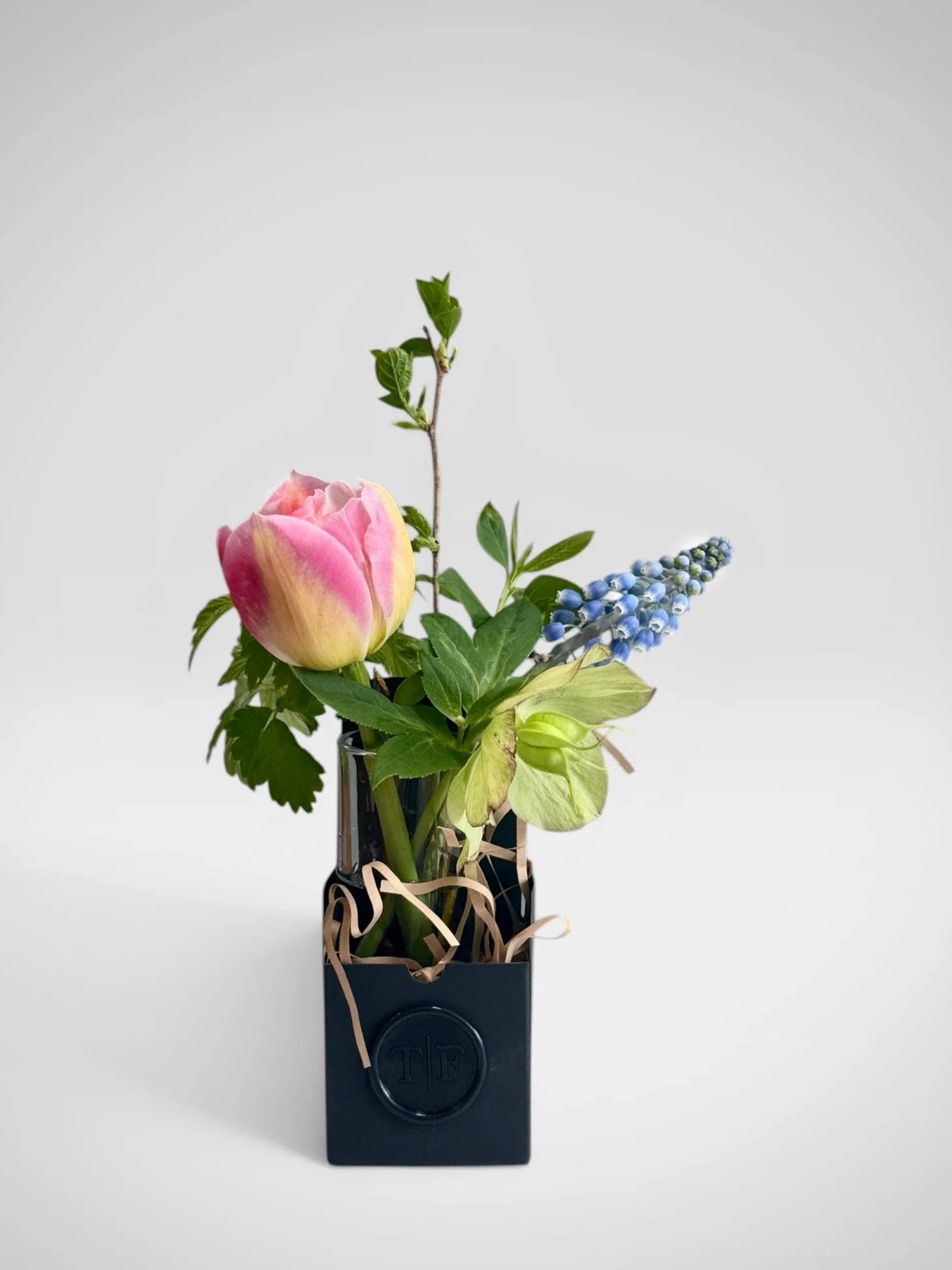 Flower Study No. 2 box.jpg