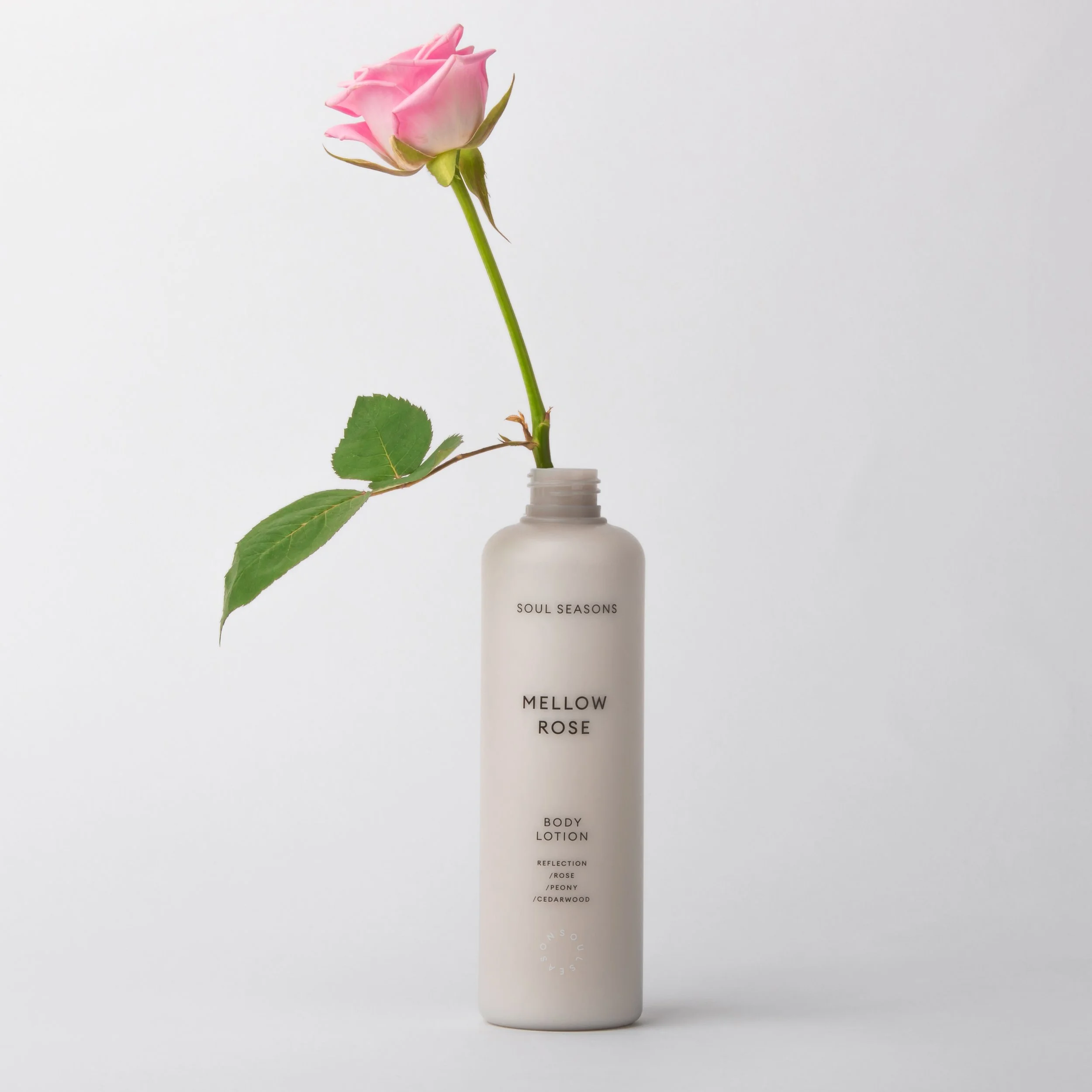 05. Mellow Rose with Rose Stem.jpg