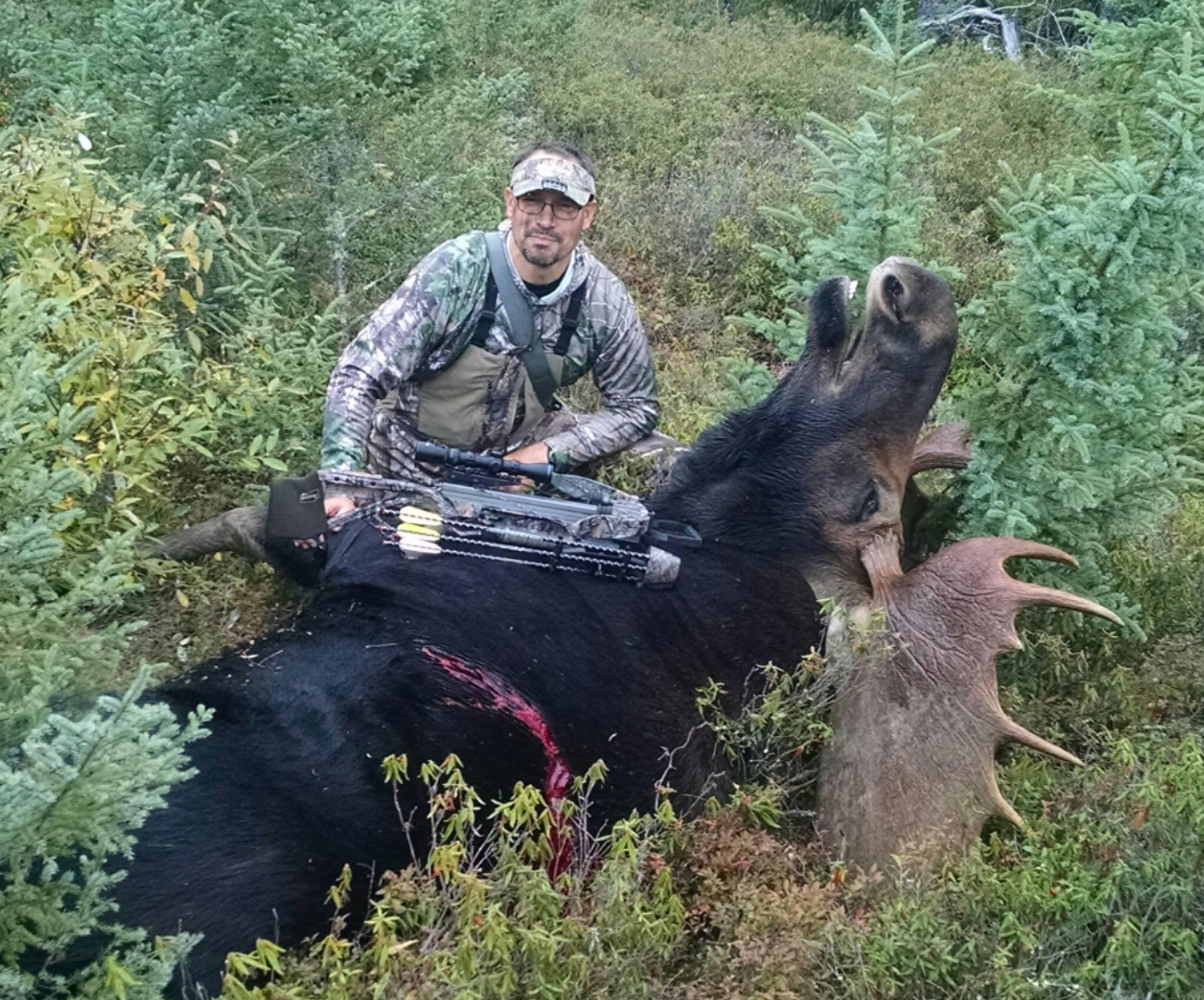 Hunter with camouflaged gear posing with a harvested moose in a forested area