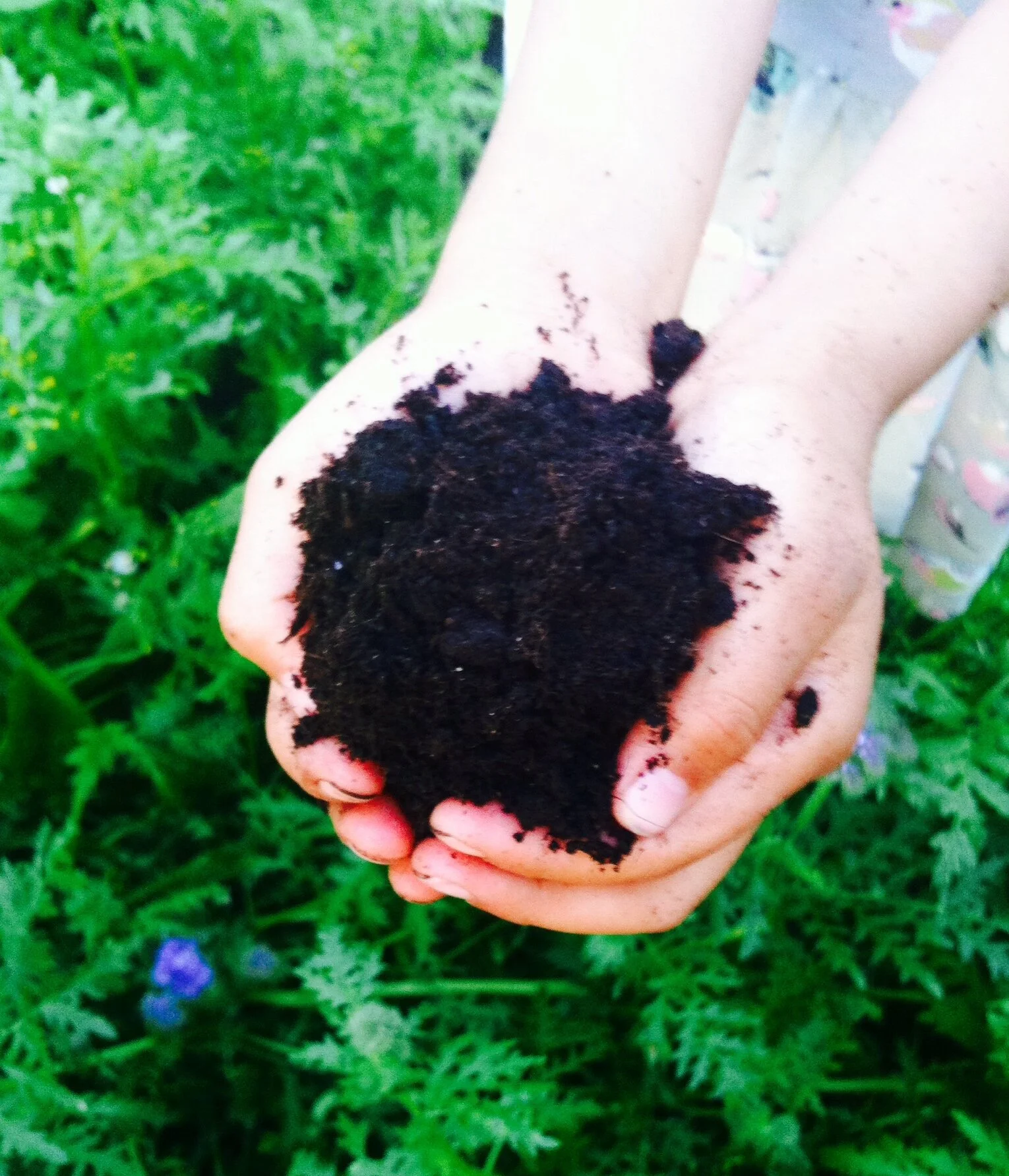 Kvalitetskompost til bruk i frukt- og bærhagar