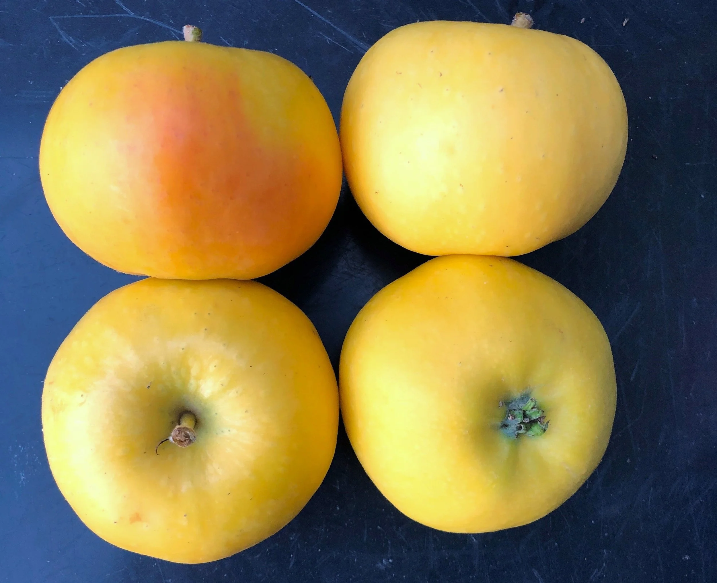 Senit, et nytt gult lagringseple med norske tradisjoner