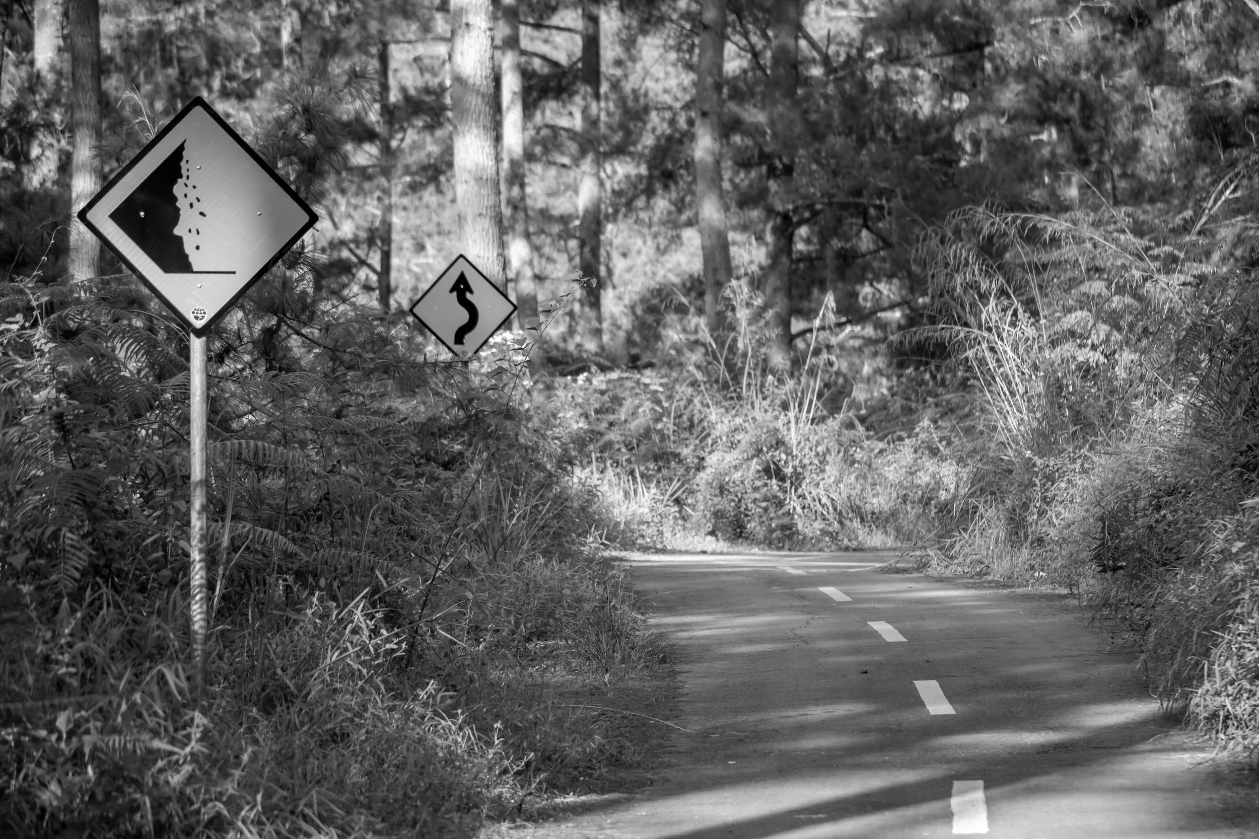 Why are digital transformations so hard (and how can they be easier)?