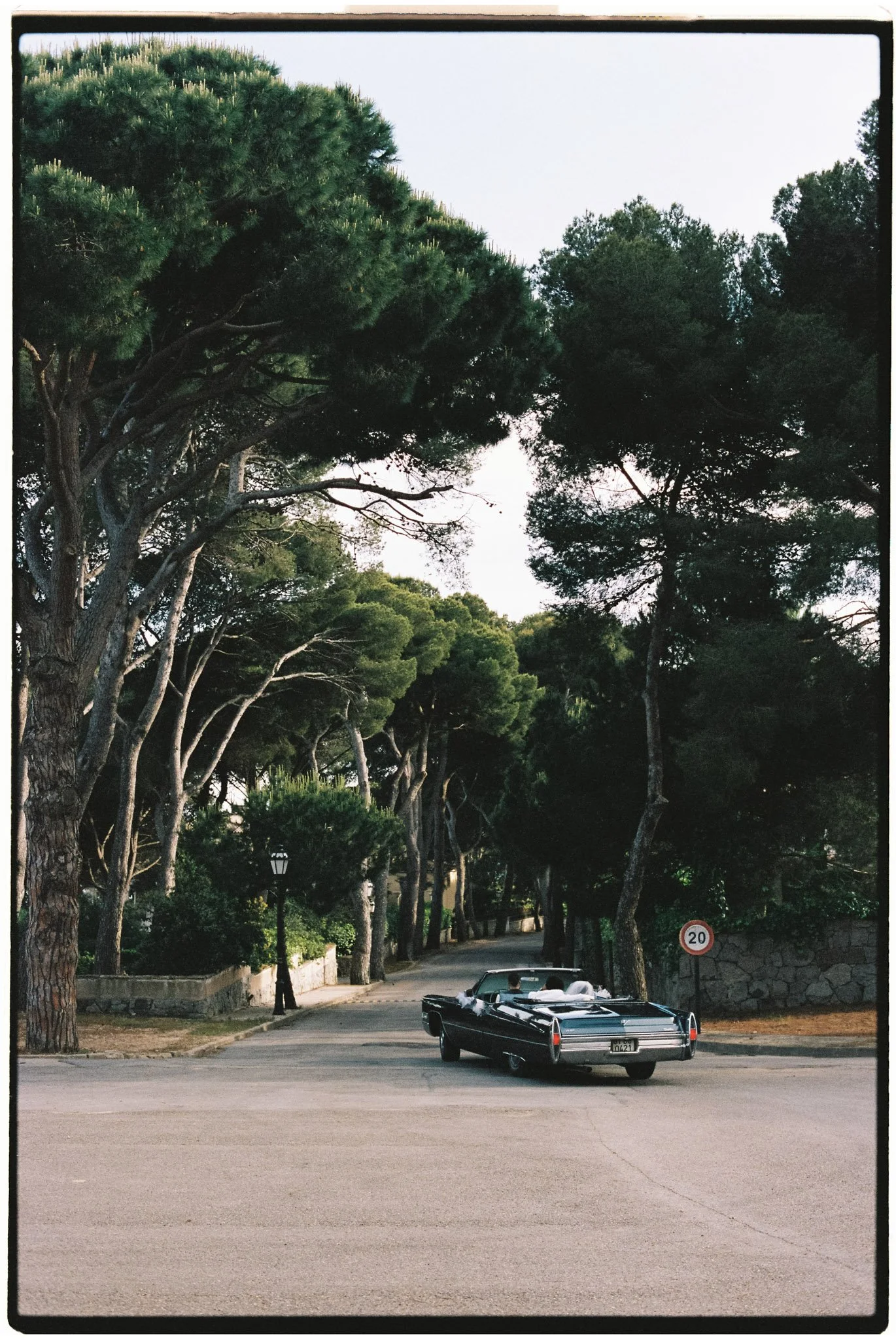 Luxury bridal car on road under the trees