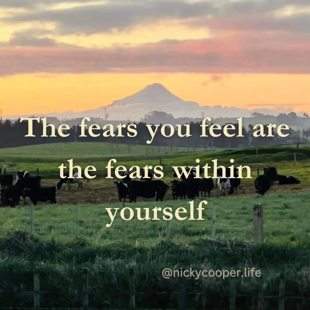 It's easy to attribute fear solely to external circumstances or events. However, there's a deeper layer to fear that goes way beyond. Each fear we experience carries with it a message from within ourselves. It reflects our beliefs, insecurities, and 