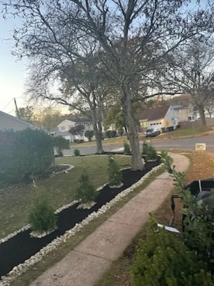 mulch trim trees planting