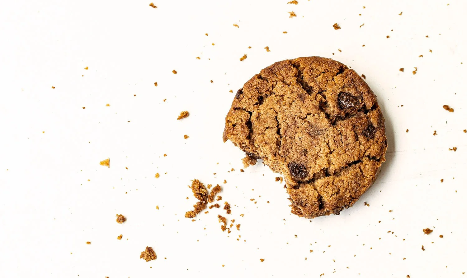 chocolate chip cookie