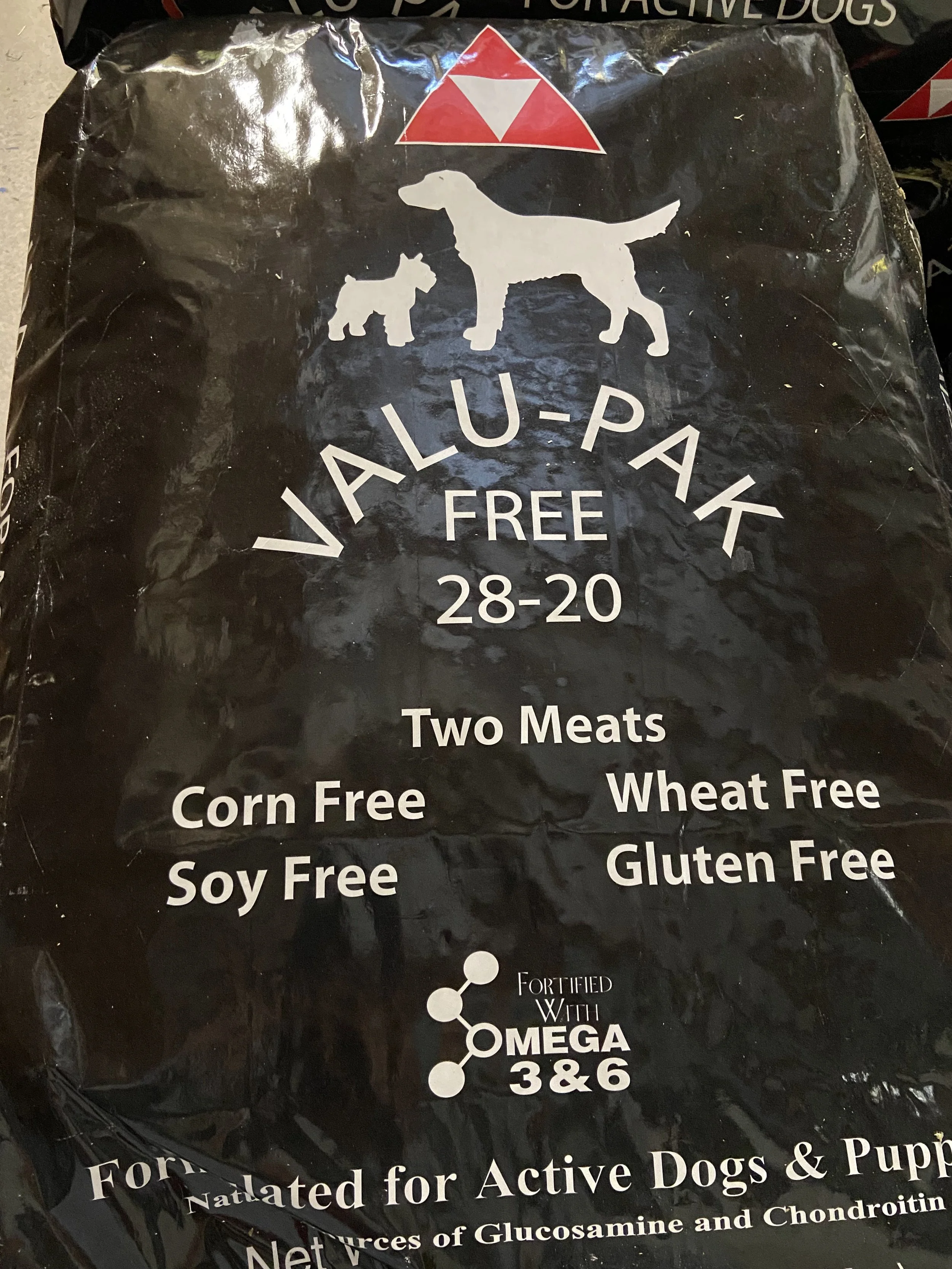 Cat + Dog — Deep Creek Game Farm