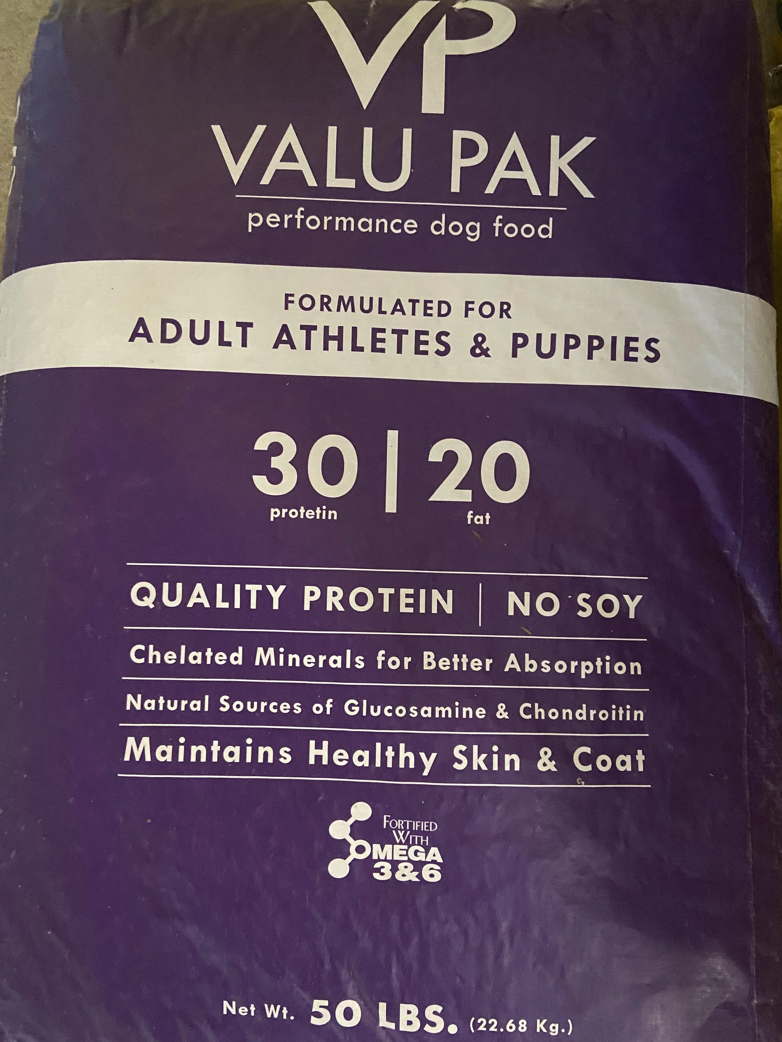 Cat + Dog — Deep Creek Game Farm