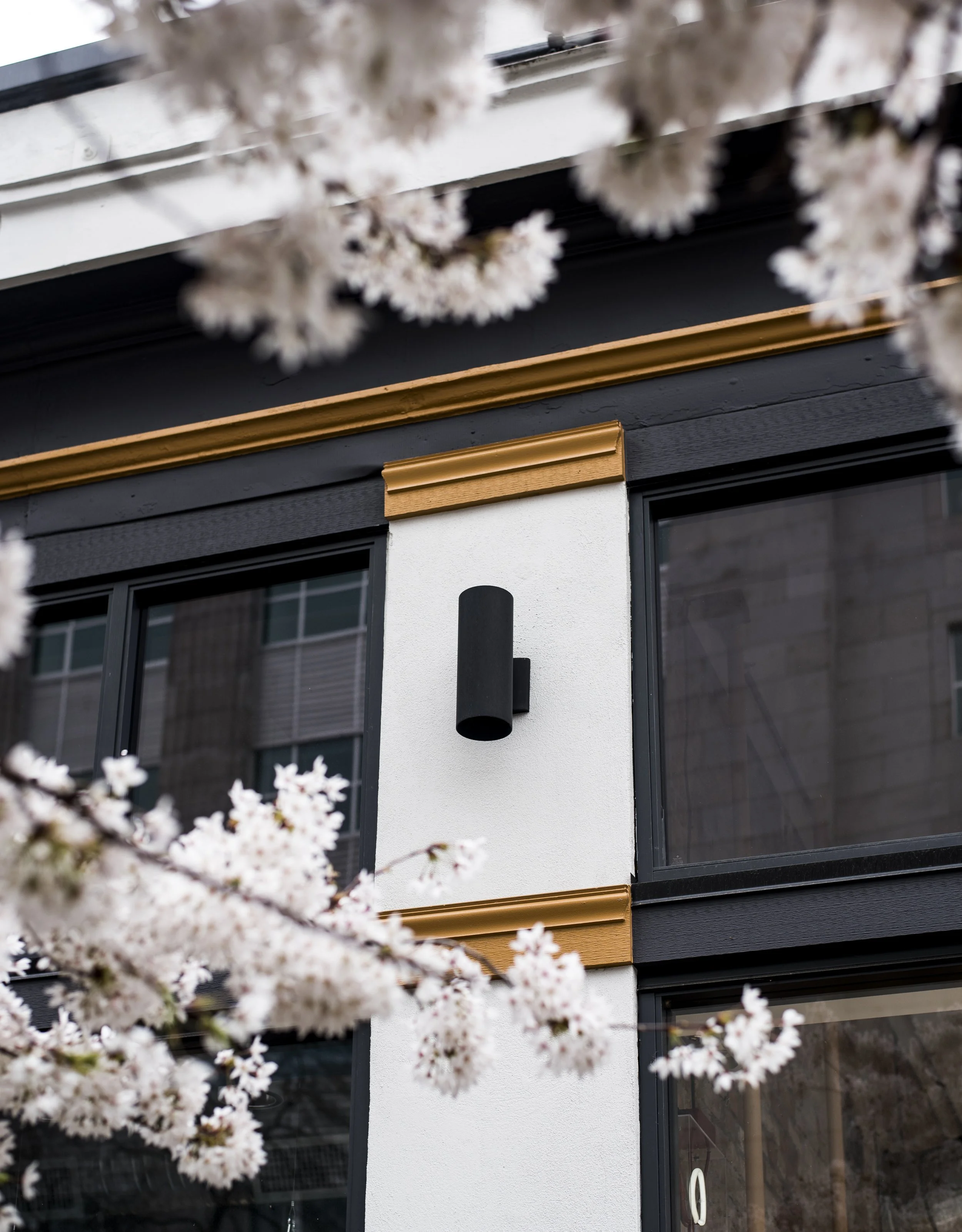 Close-up of a modern building facade with black and white walls, gold trim, a black cylindrical outdoor light fixture, and blooming cherry blossom branches in the foreground.