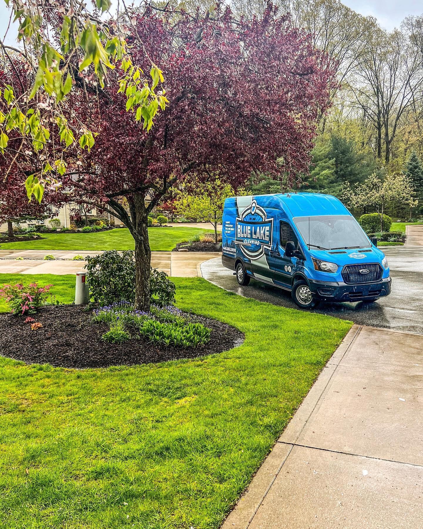 #carpetcleaning