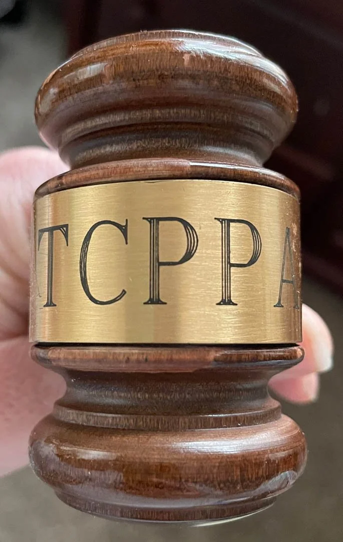 Monda Goette Photography holding the gavel as president of Twin Cities Professional Photographers Association TCPPA