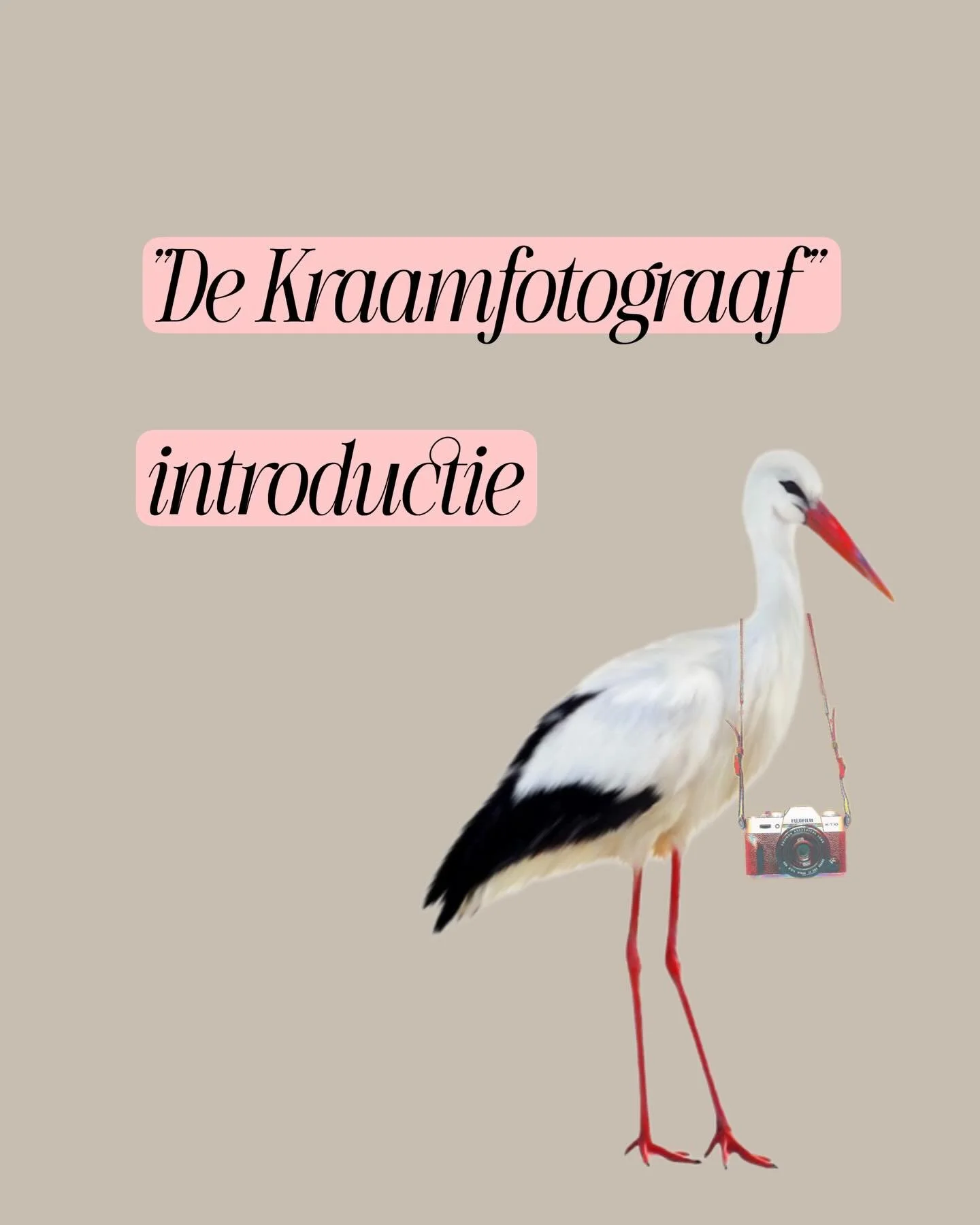 🎀 De Kraamfotograaf is geboren! 🎀

De mensen die mij al langer volgen zal het niet ontgaan zijn dat ik vorig jaar het parttime bier tappen naast de fotografie heb ingeruild voor iets heel anders: de Kraamzorg! 

Ik heb het ontzettend naar mijn zin 