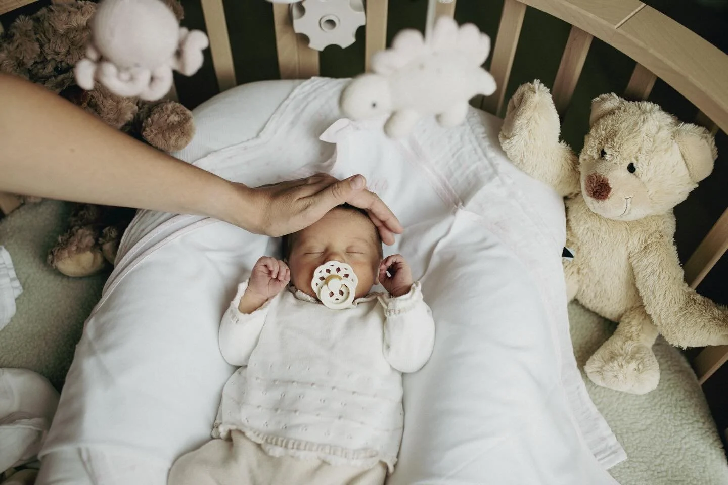 🎀 Welkom baby Loua 🎀

#newbornfotografie #newbornfotograaf 

www.dekraamfotograaf.nl