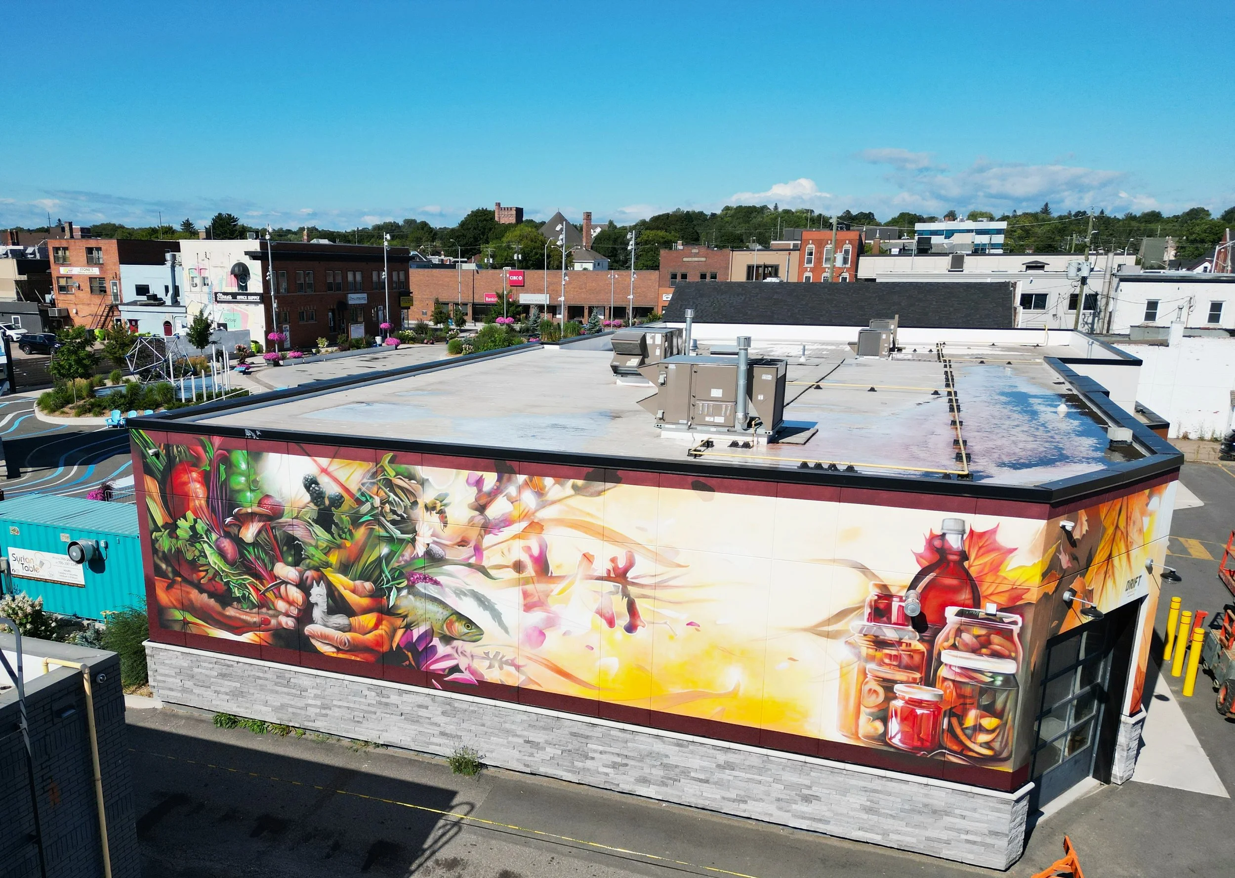 4 Dom Laporte DRIFT Mural Co.JPG