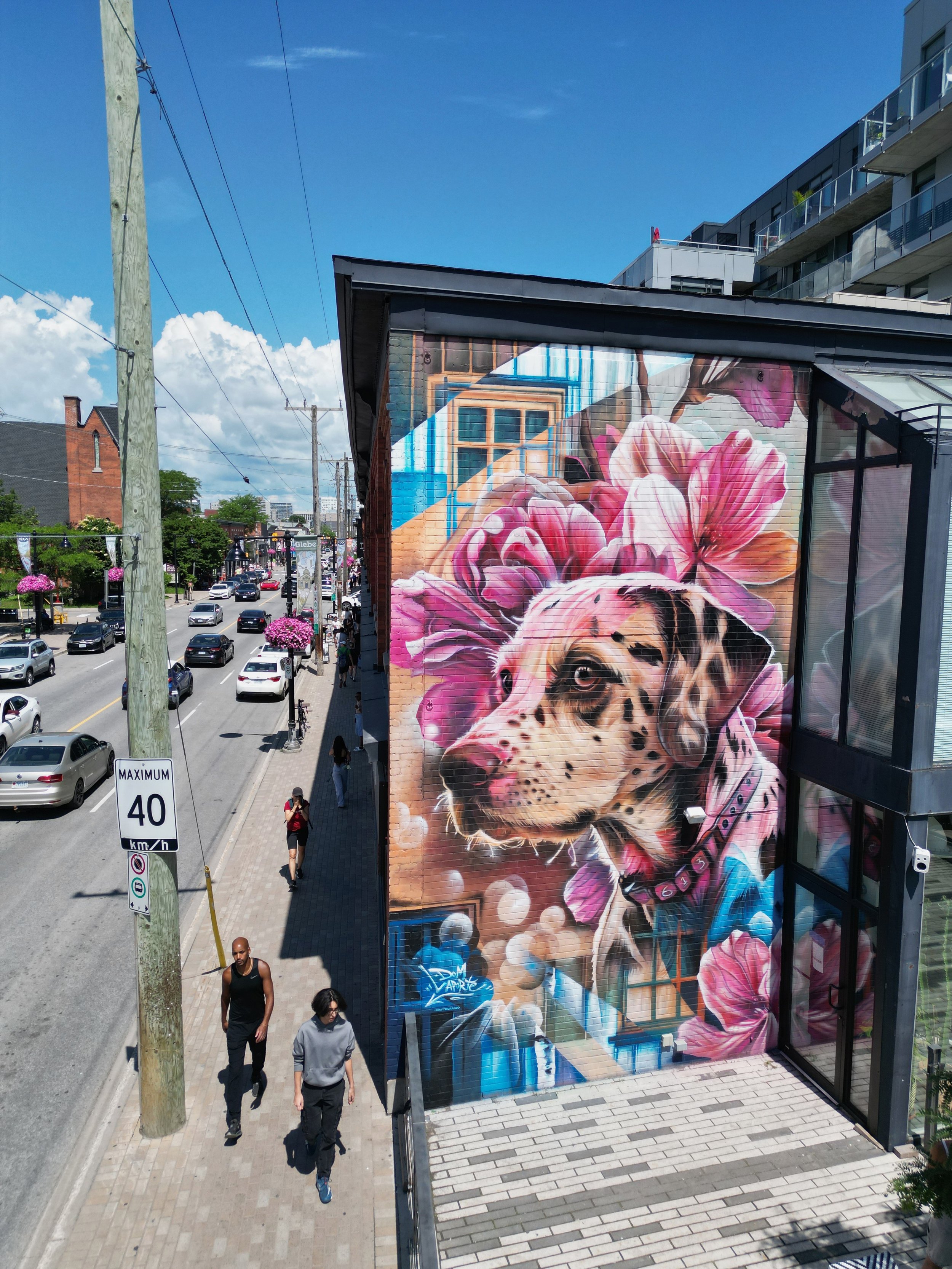 Ottawa, Ontario - Paint it Up Program