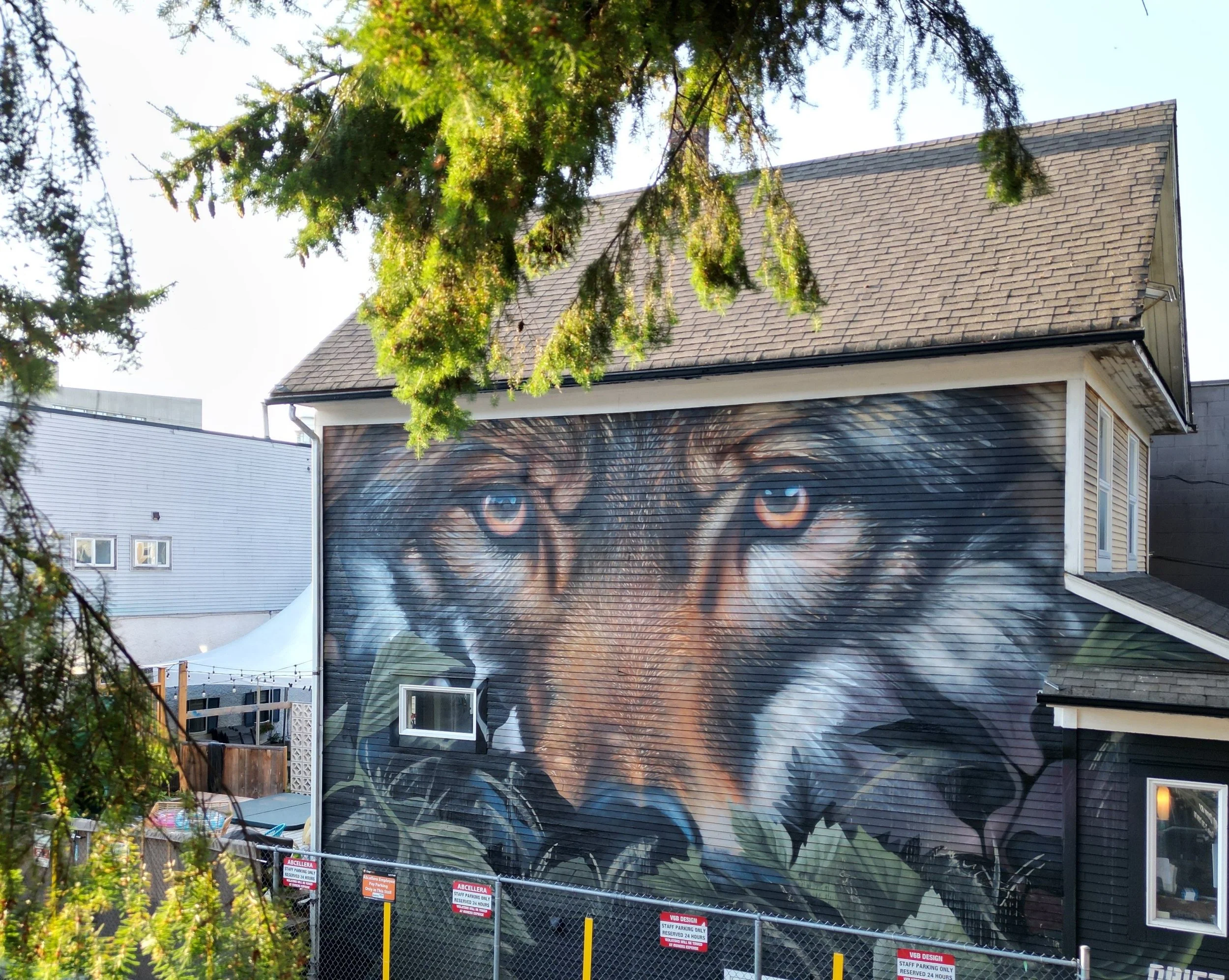 Vancouver, British Columbia - We Howl / Vancouver Mural Festival