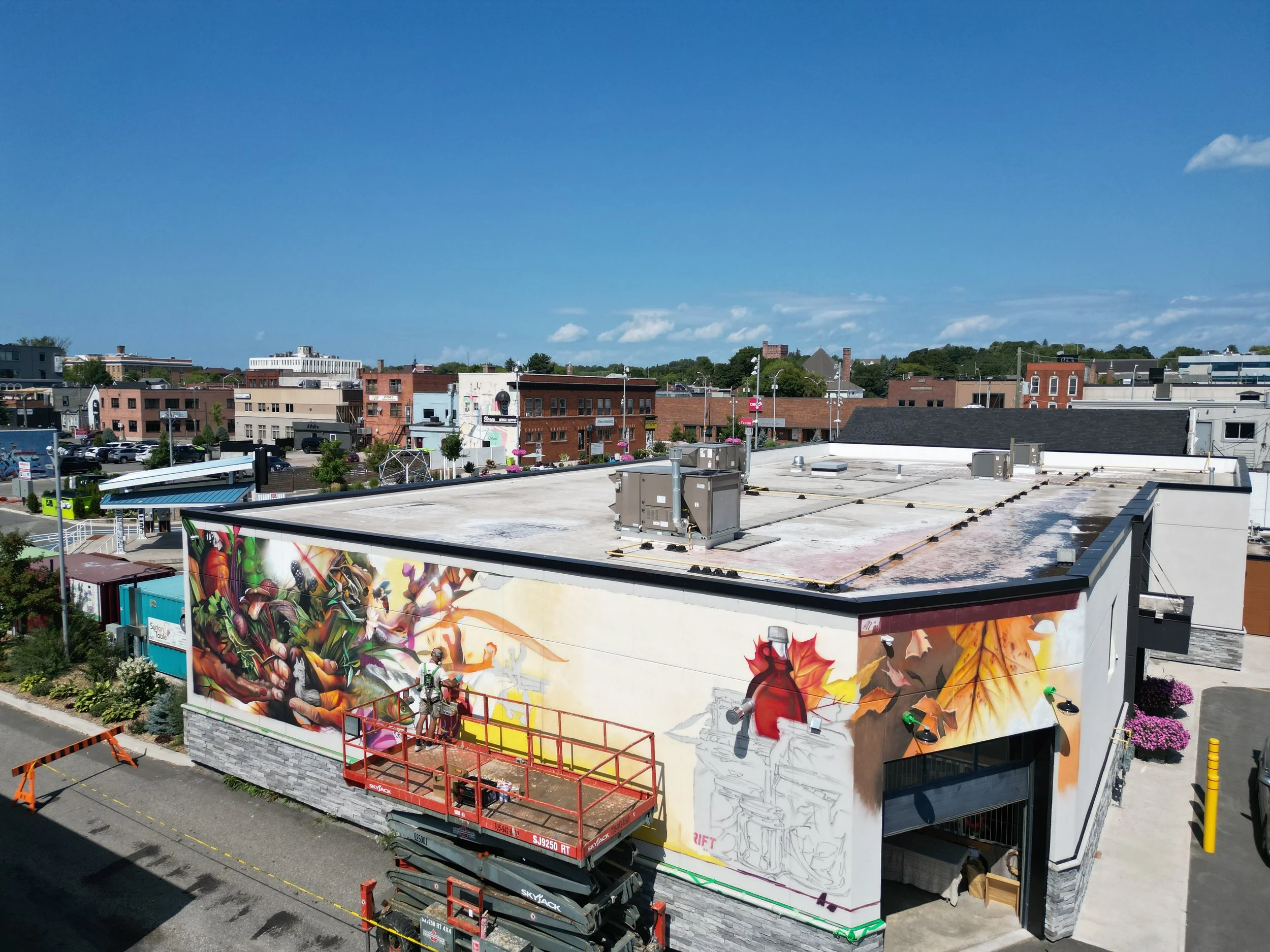 5 Dom Laporte DRIFT Mural Co.JPG
