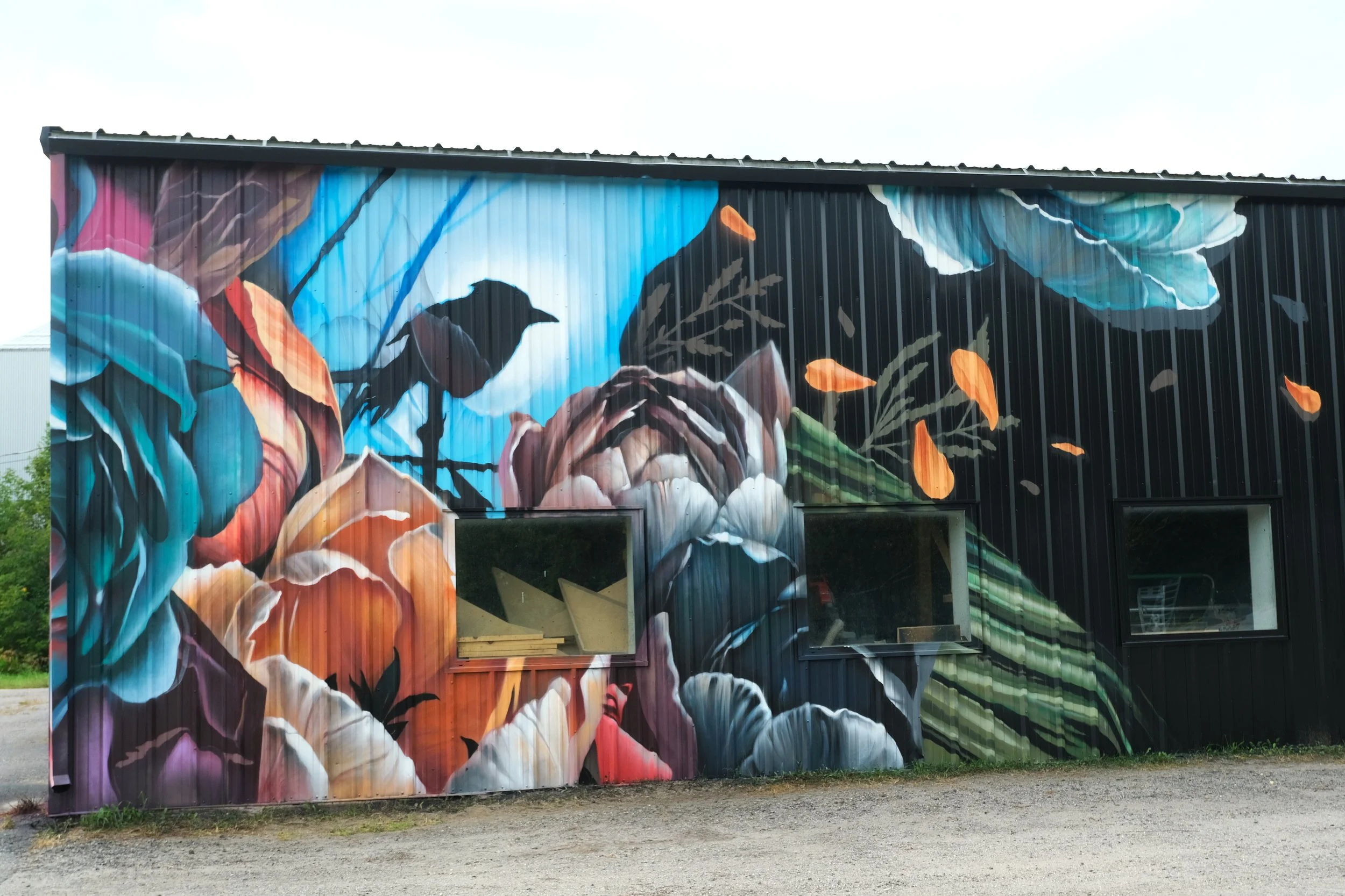 DSCF1032.JPG