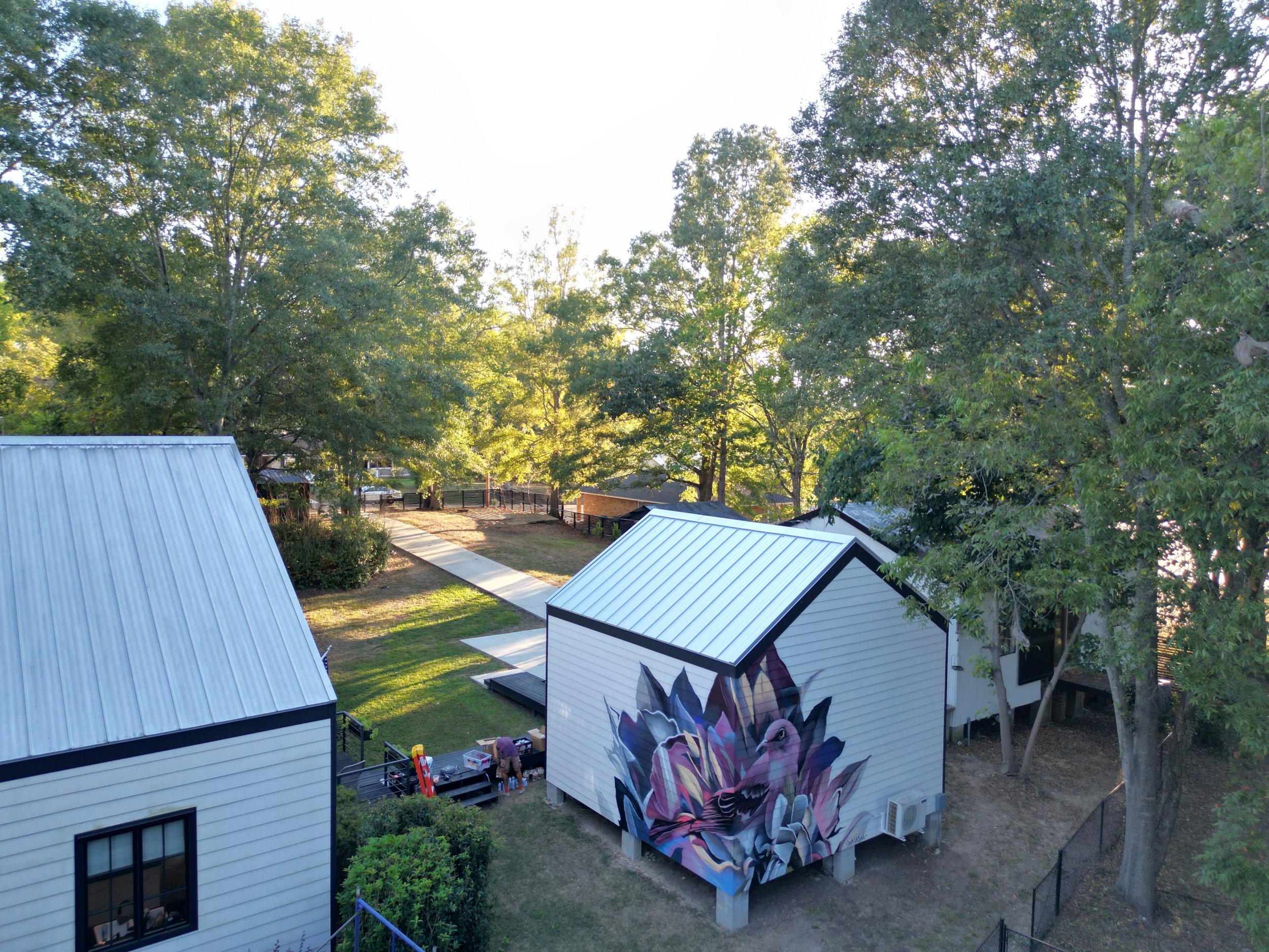 DJI_0101.JPG