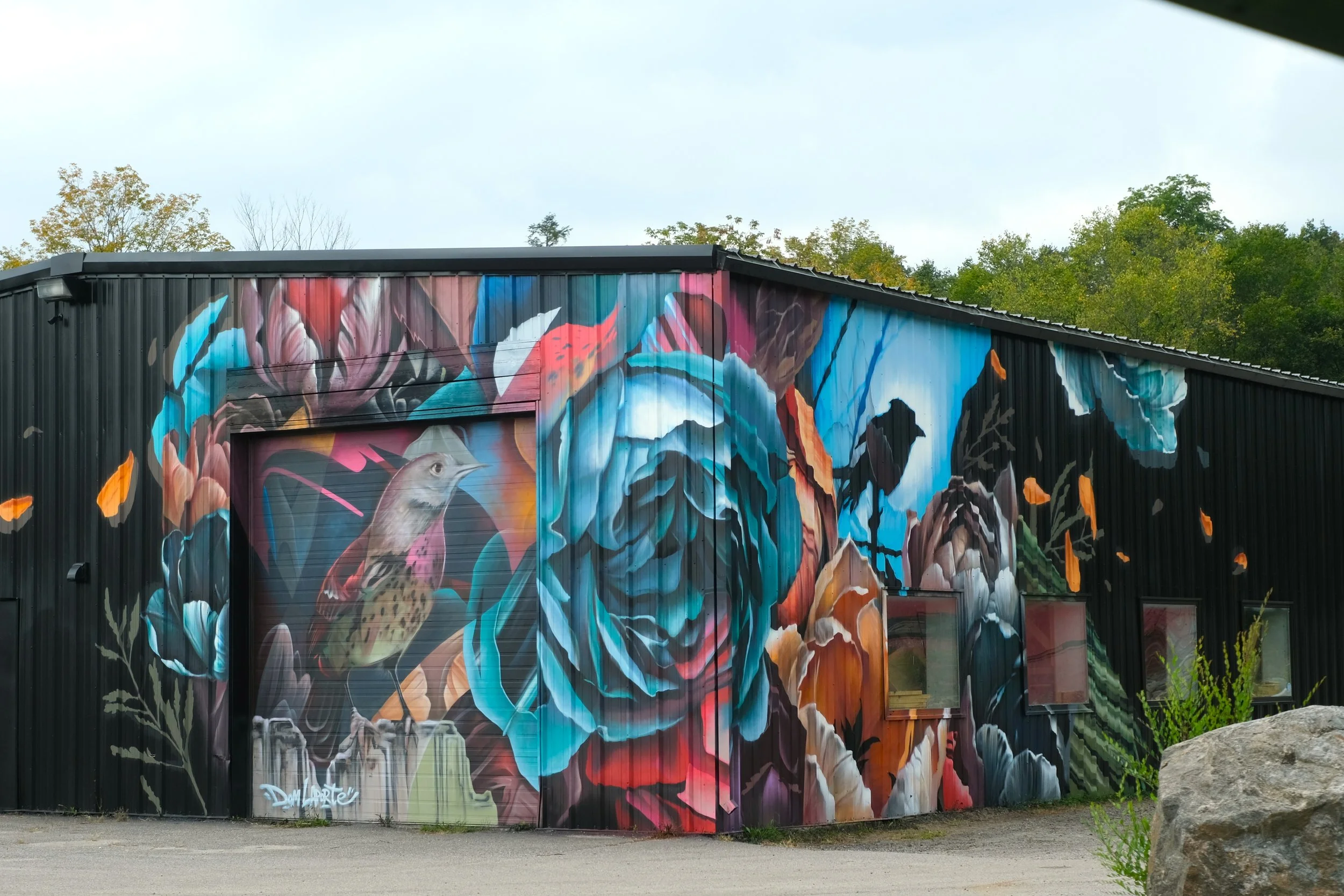 DSCF1022.JPG