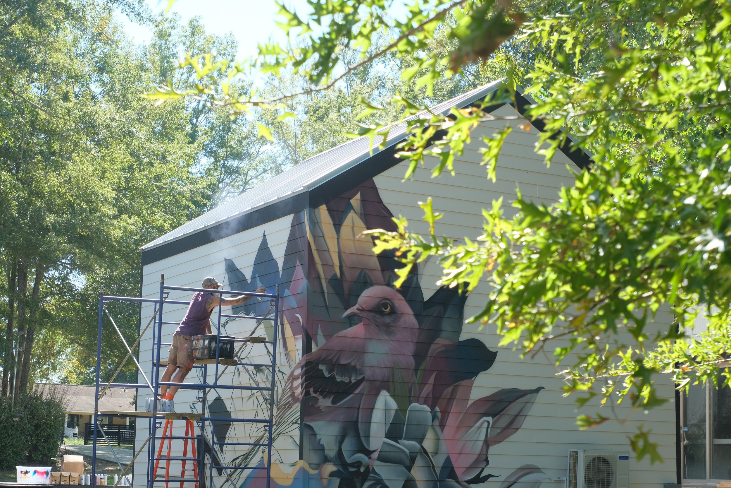 DSCF1135.JPG